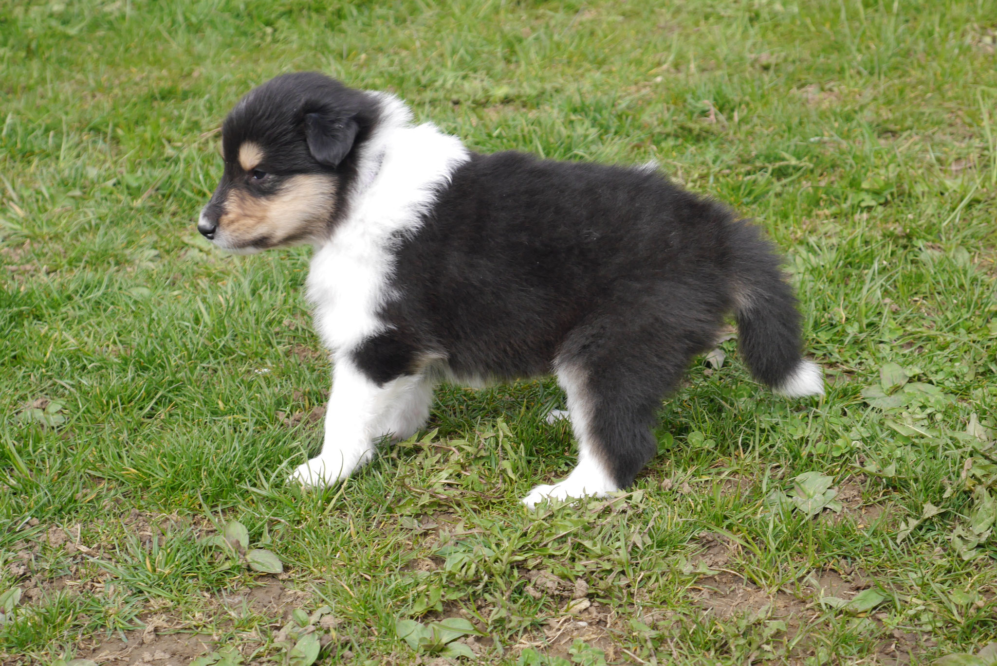 Enya mit 4 Wochen