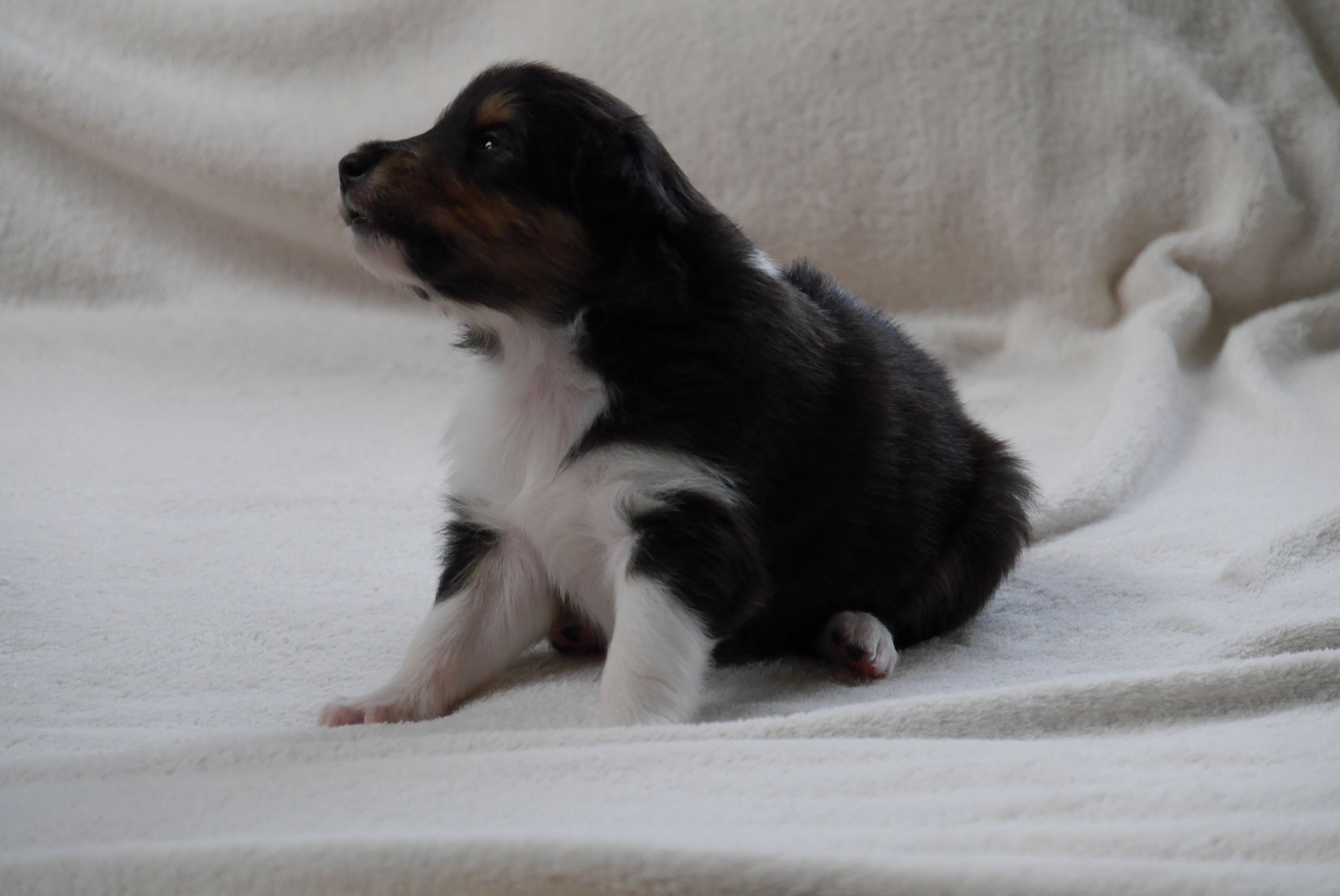 Betty mit 3 Wochen 