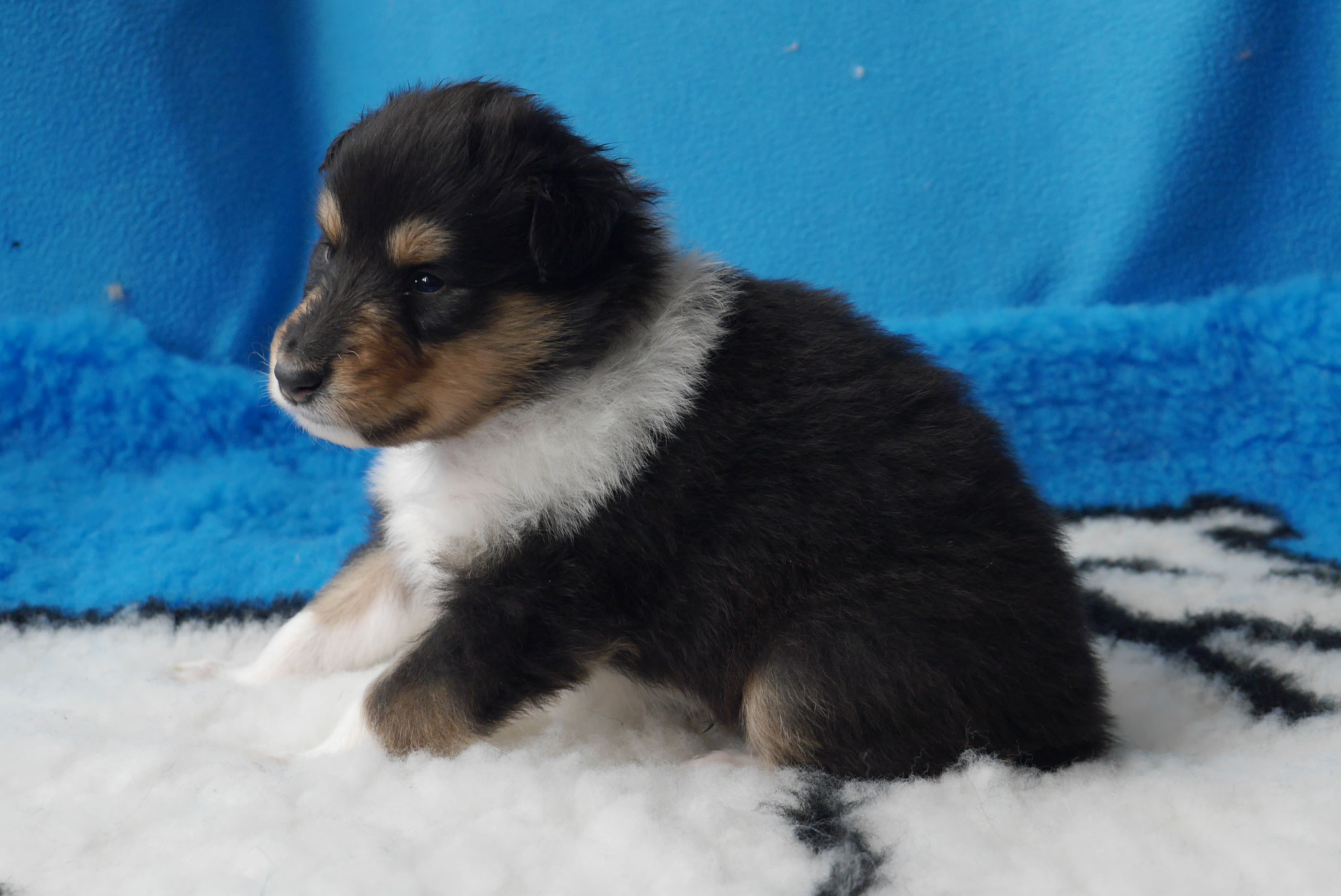 LeRoy mit 4 Wochen 