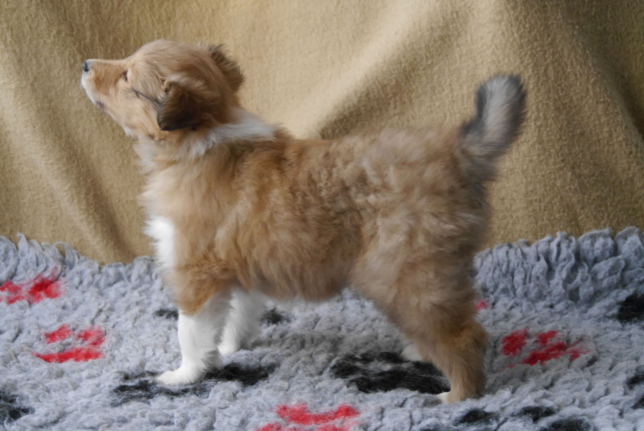 Infinity mit 6 Wochen