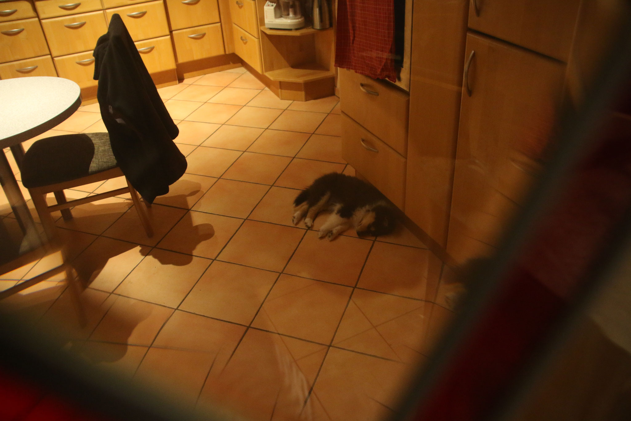 Brenda im neuen Zuhause