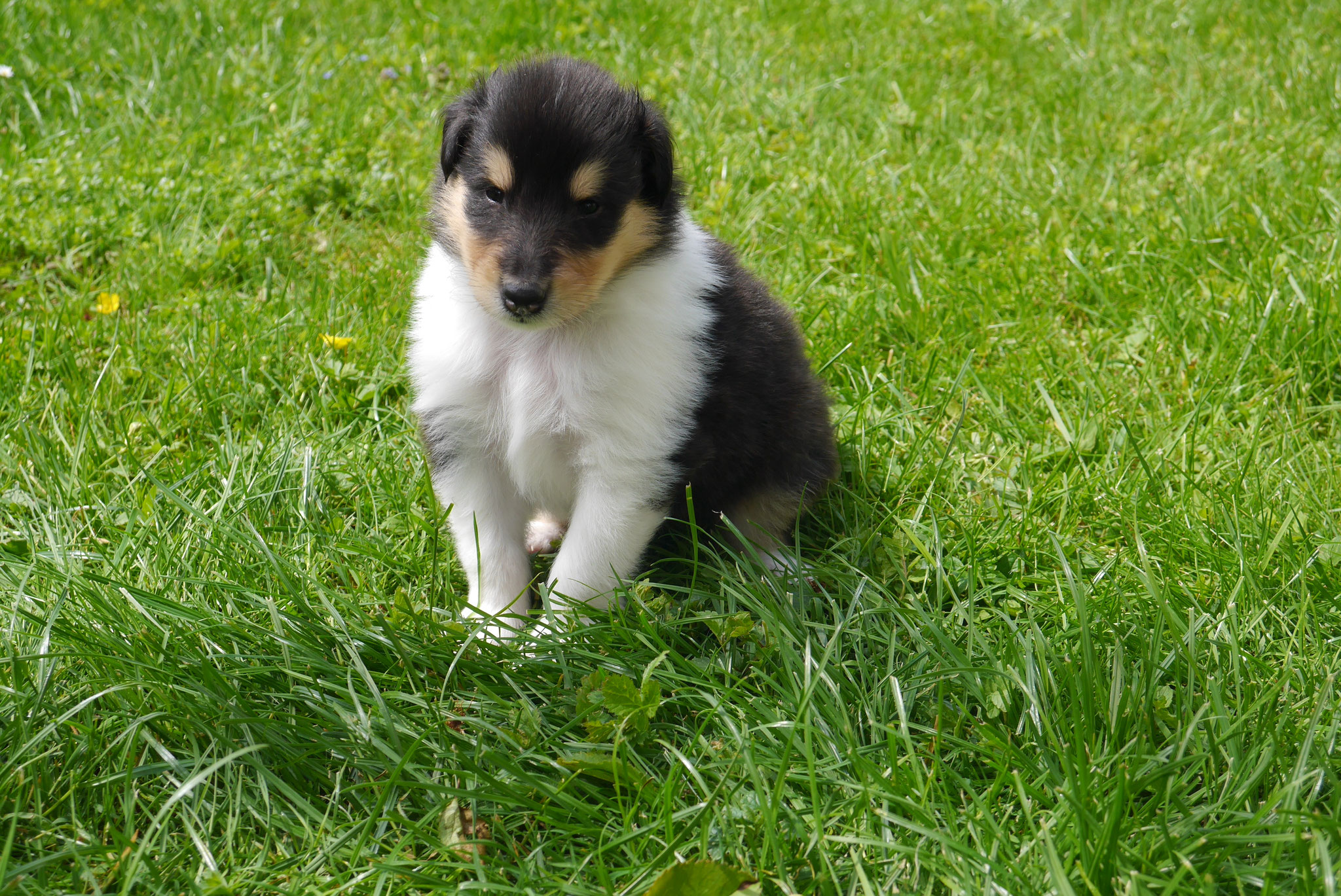 Aiden mit 4 Wochen