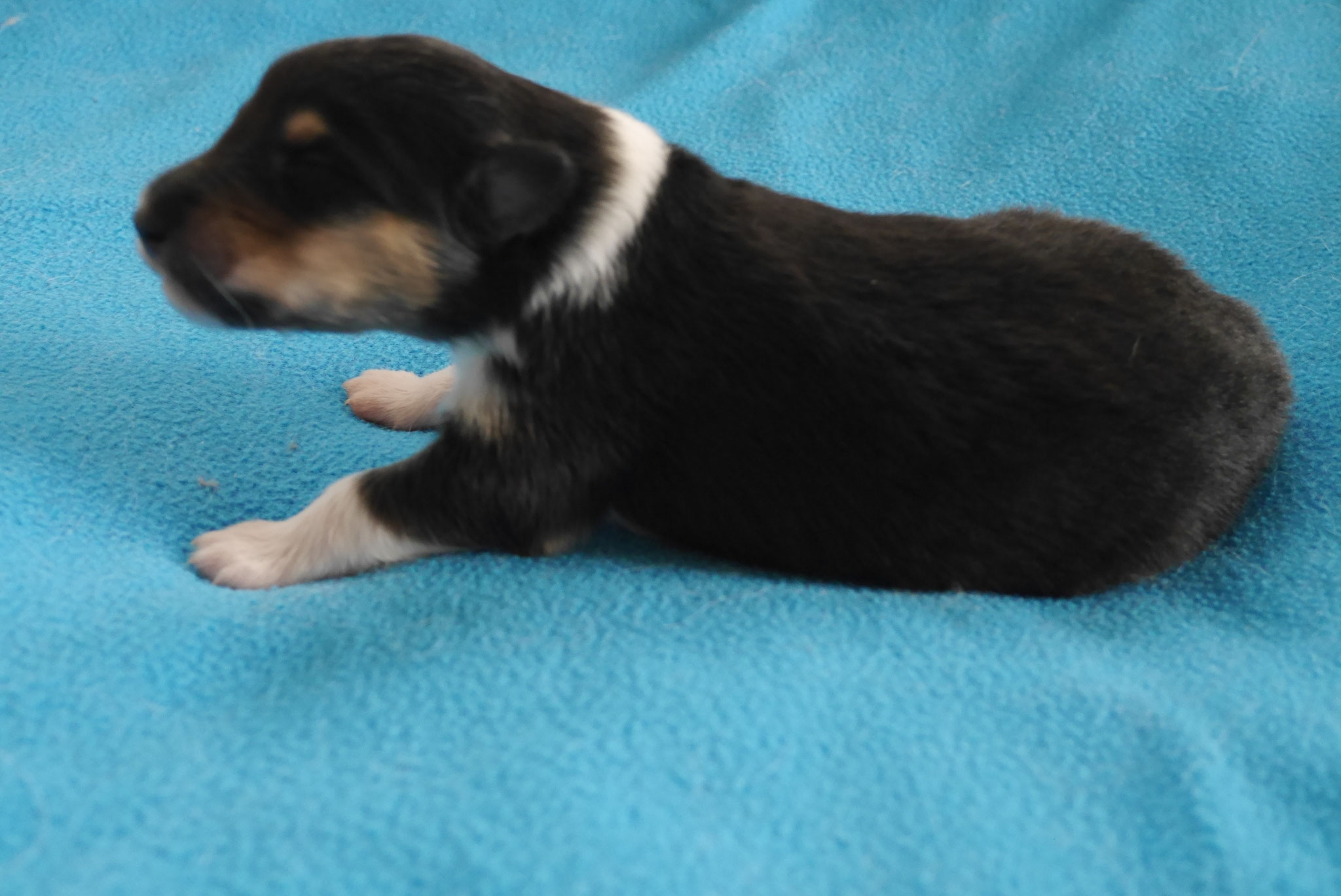 Holly mit 1ner Woche