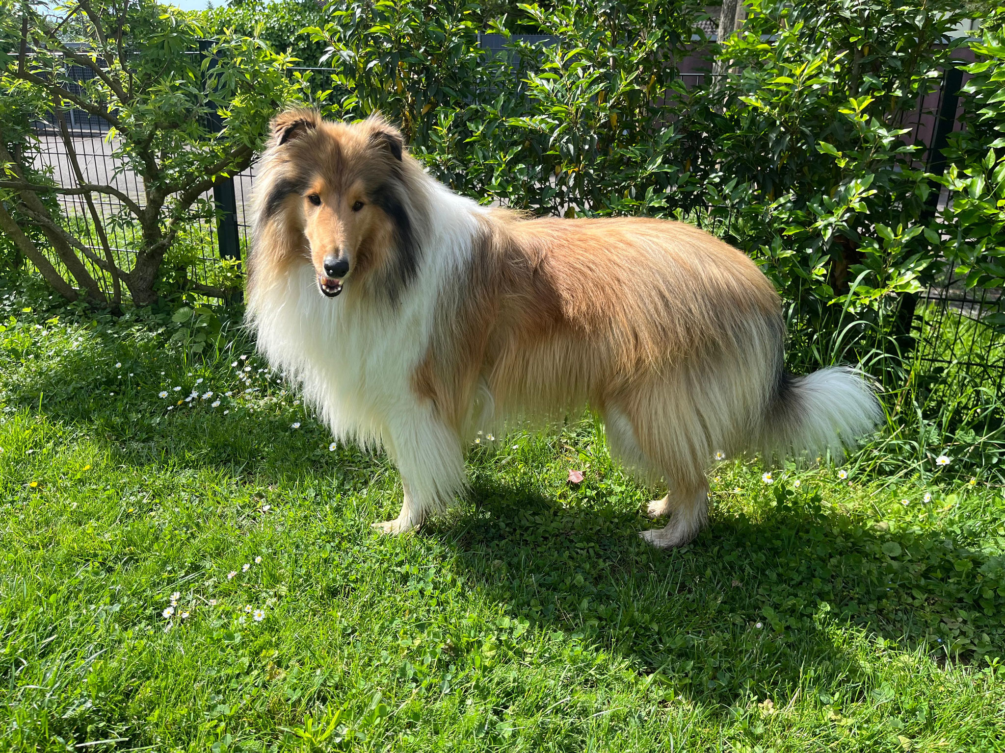Oso mit 2 Jahren 