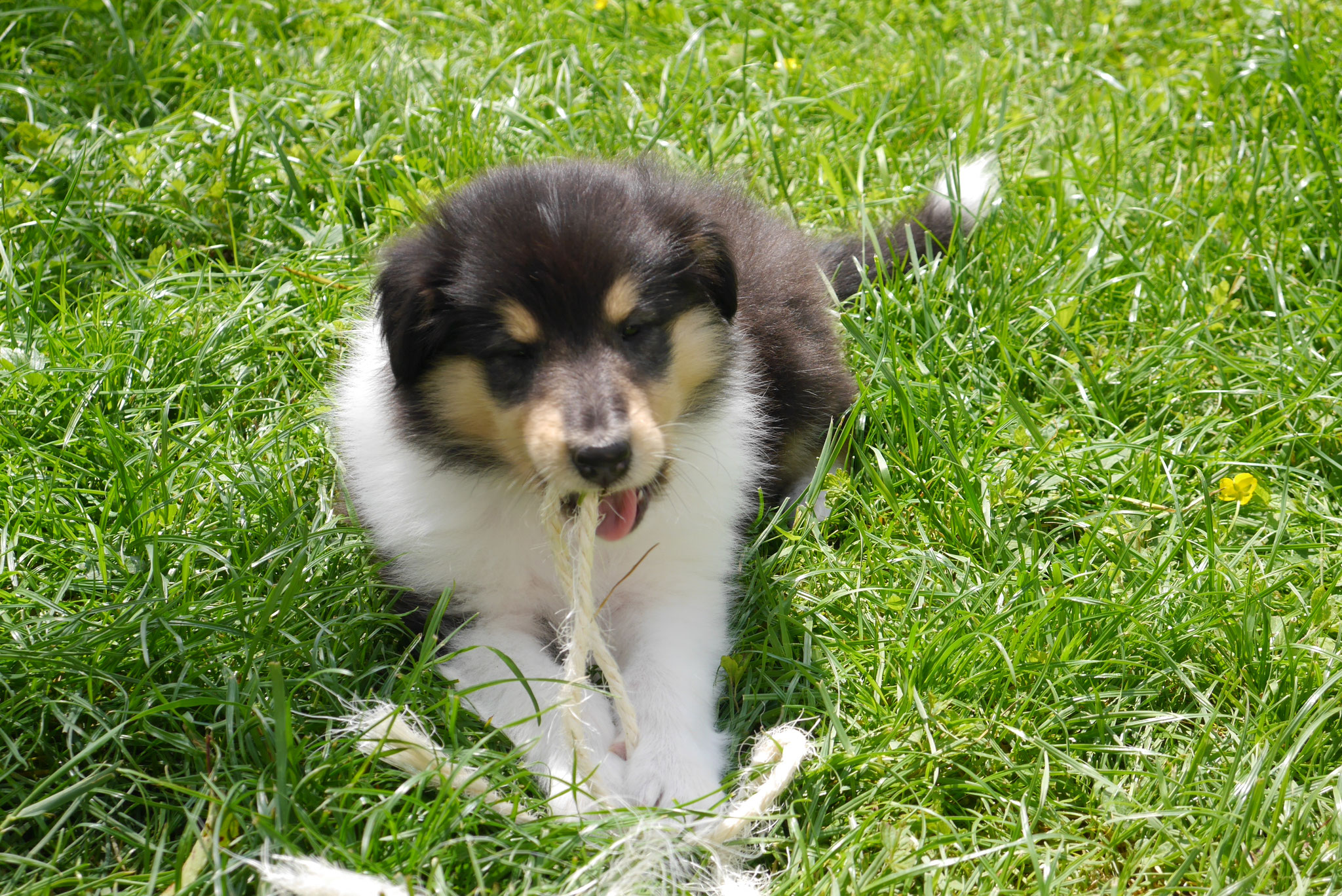 Aiden mit 6 Wochen