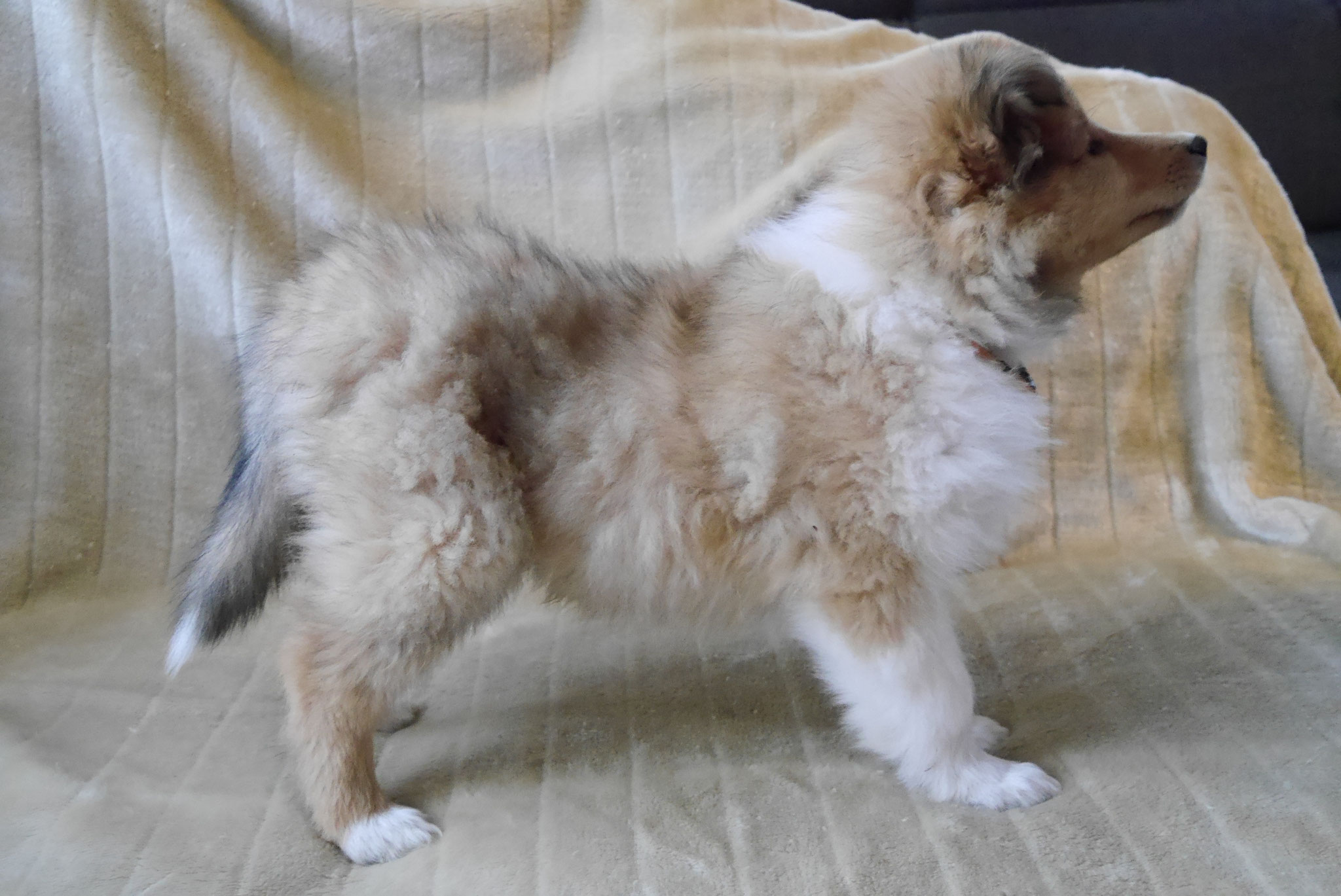 Infinity mit 9 Wochen