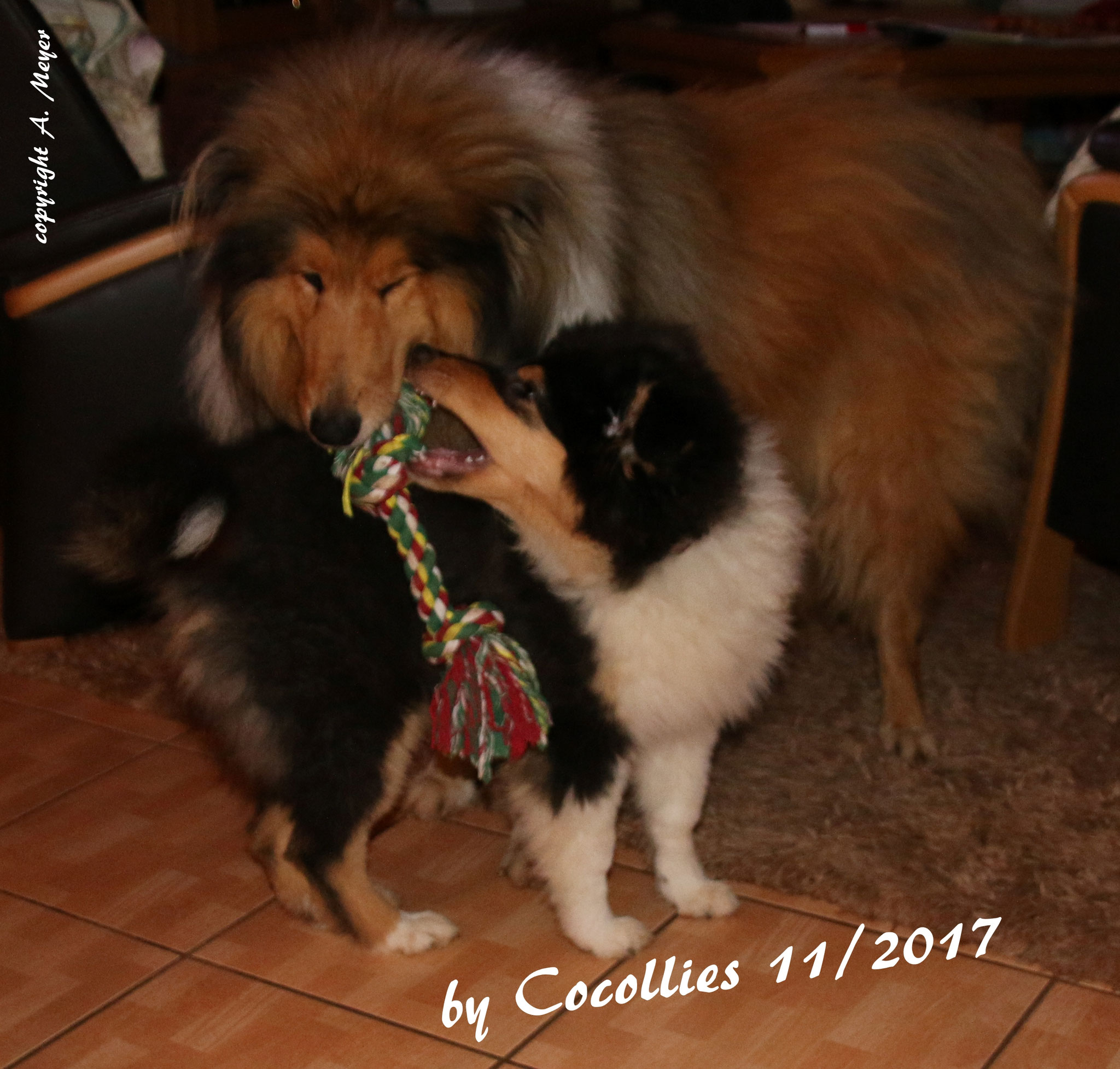 Brenda mit ihrem Freund Teddy