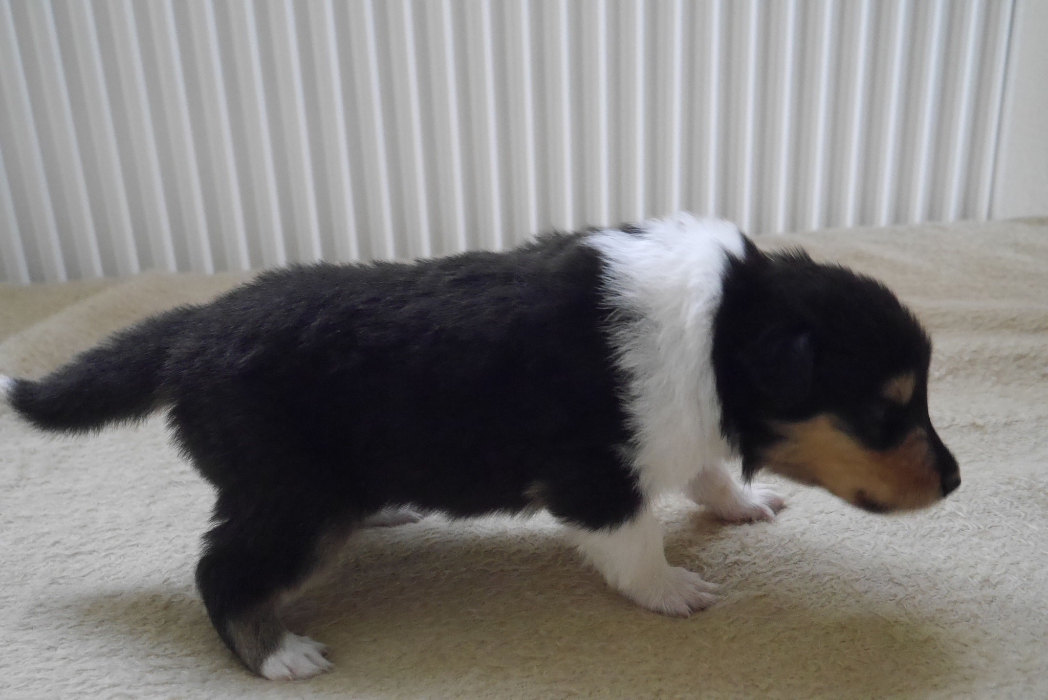 Elliot mit 3 Wochen