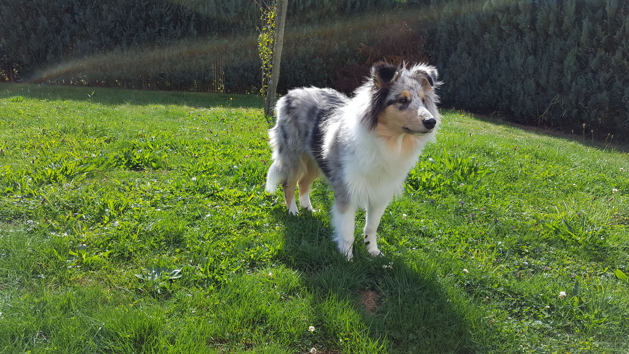 Amy mit ca. 23 Wochen