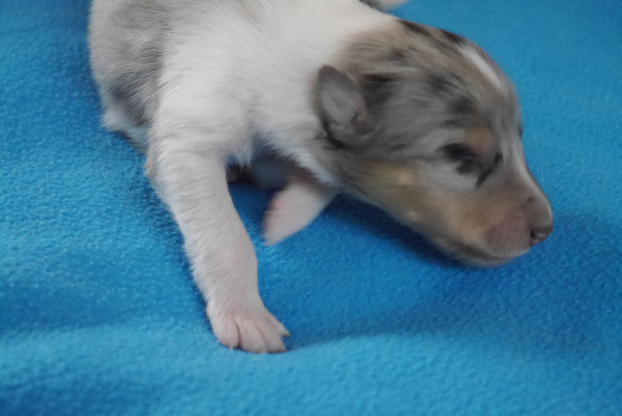 Cindy mit 1ner Woche 