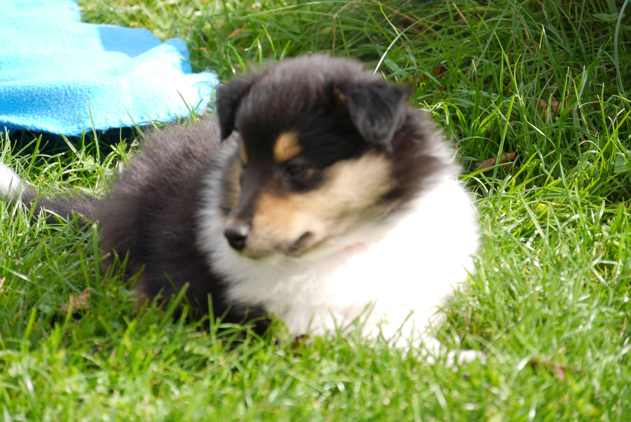 Bea mit 6 Wochen