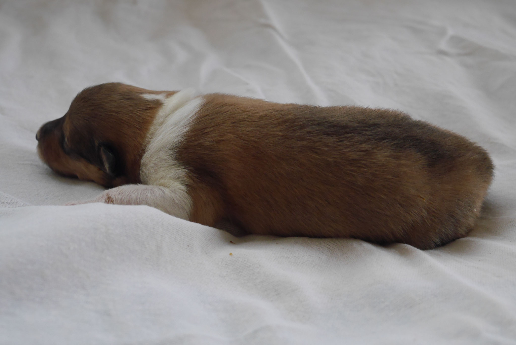 Ilana mit 1ner Woche 