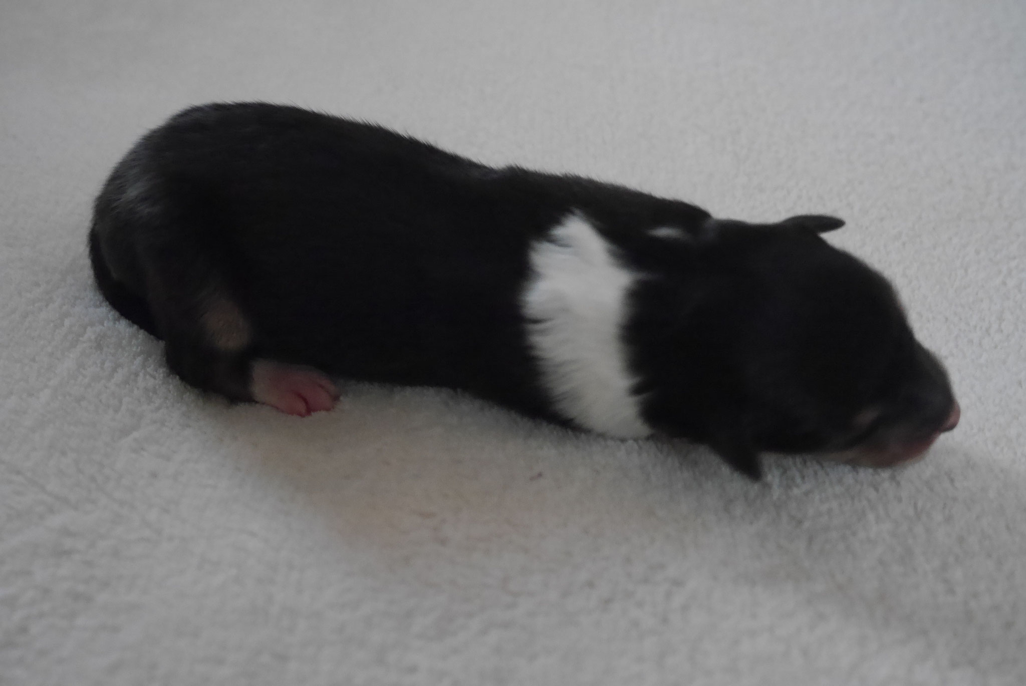Bonny´s Geburtstag
