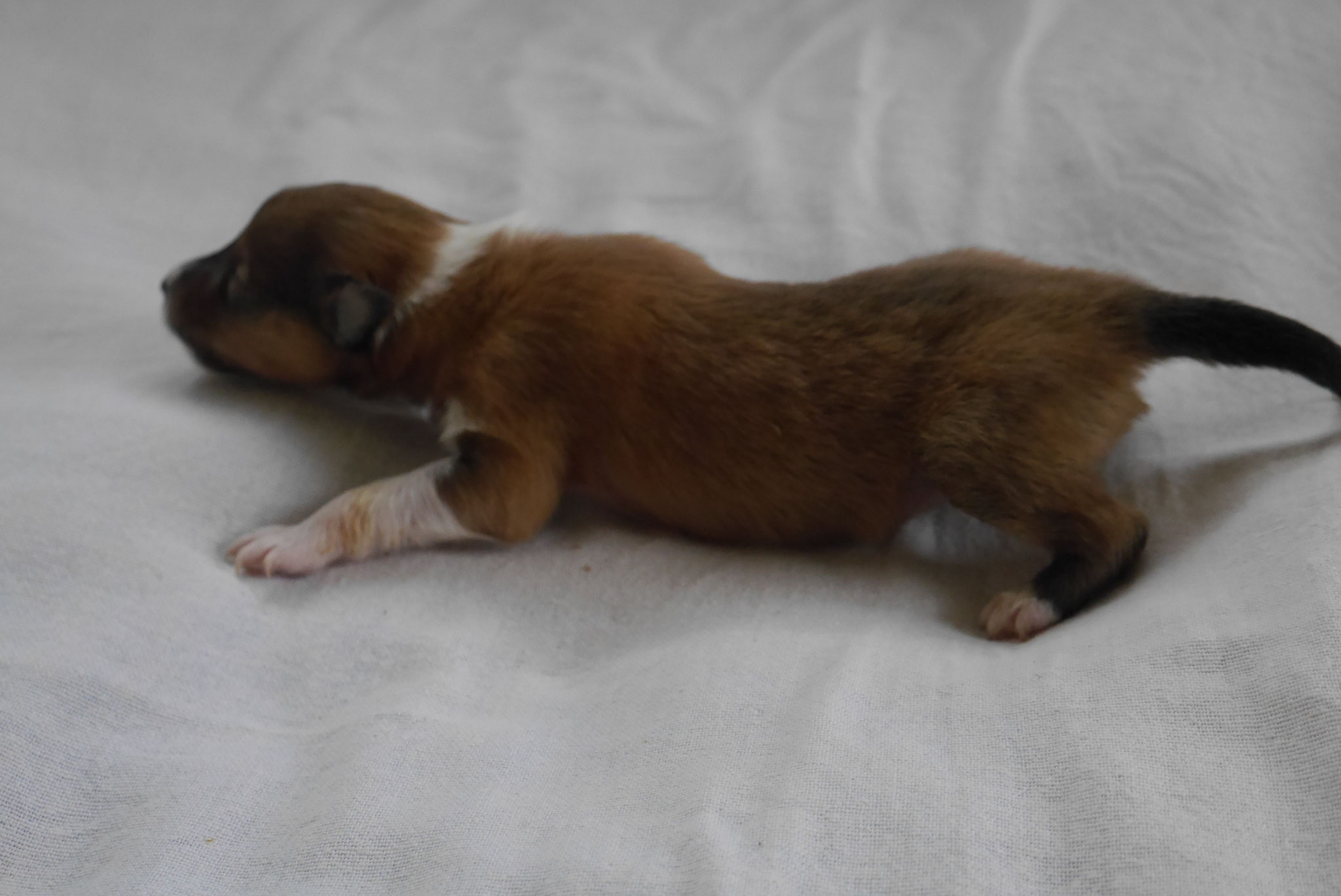 Infinity mit 1ner Woche 