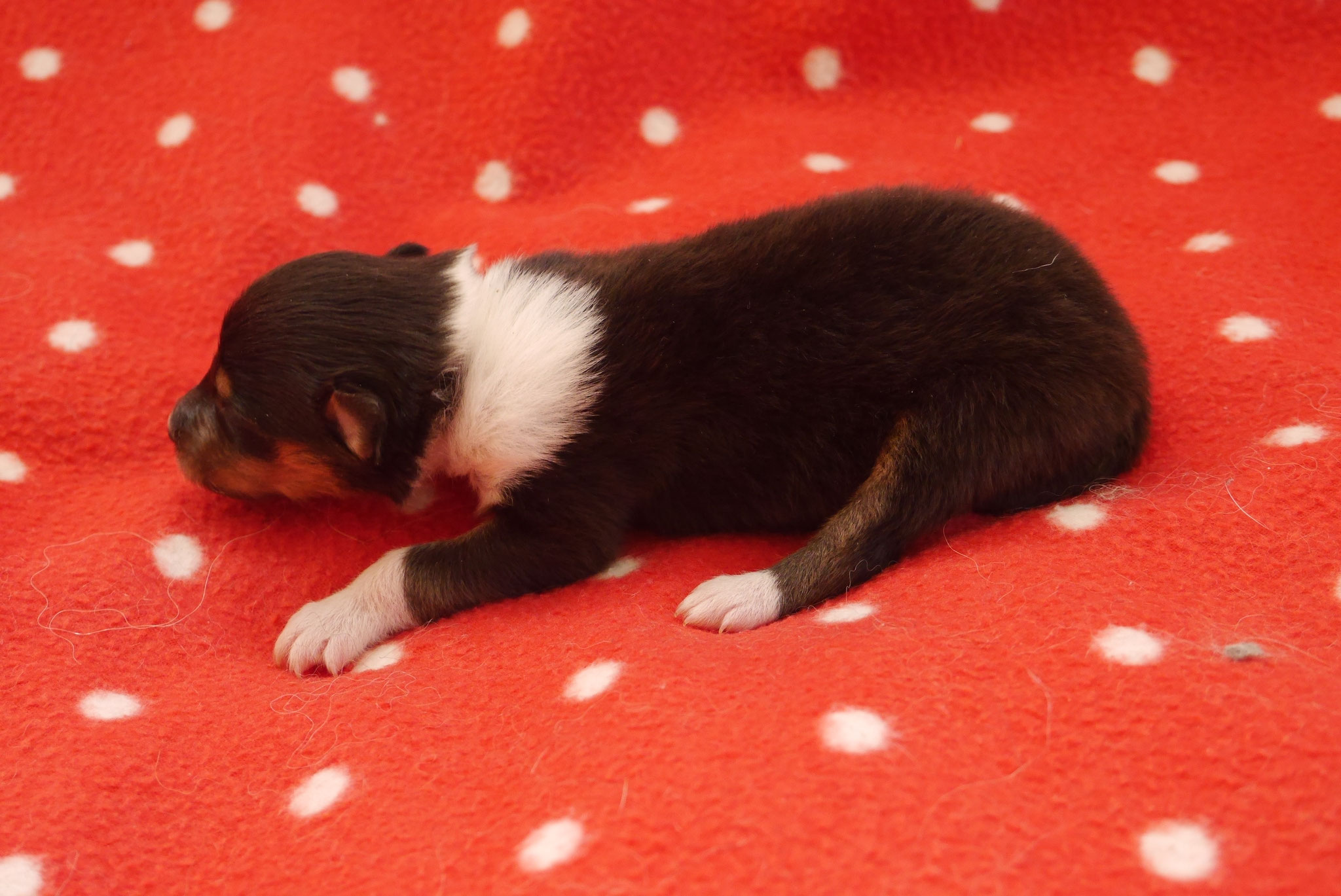 LeRoy mit 1ner Woche