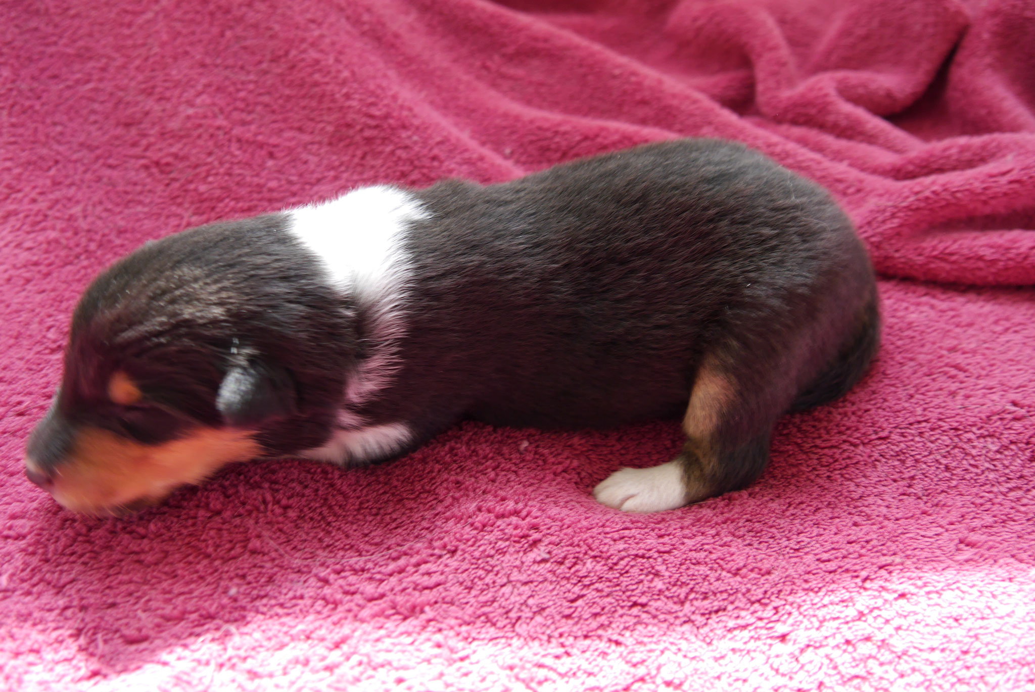 Elliot mit 1ner Woche
