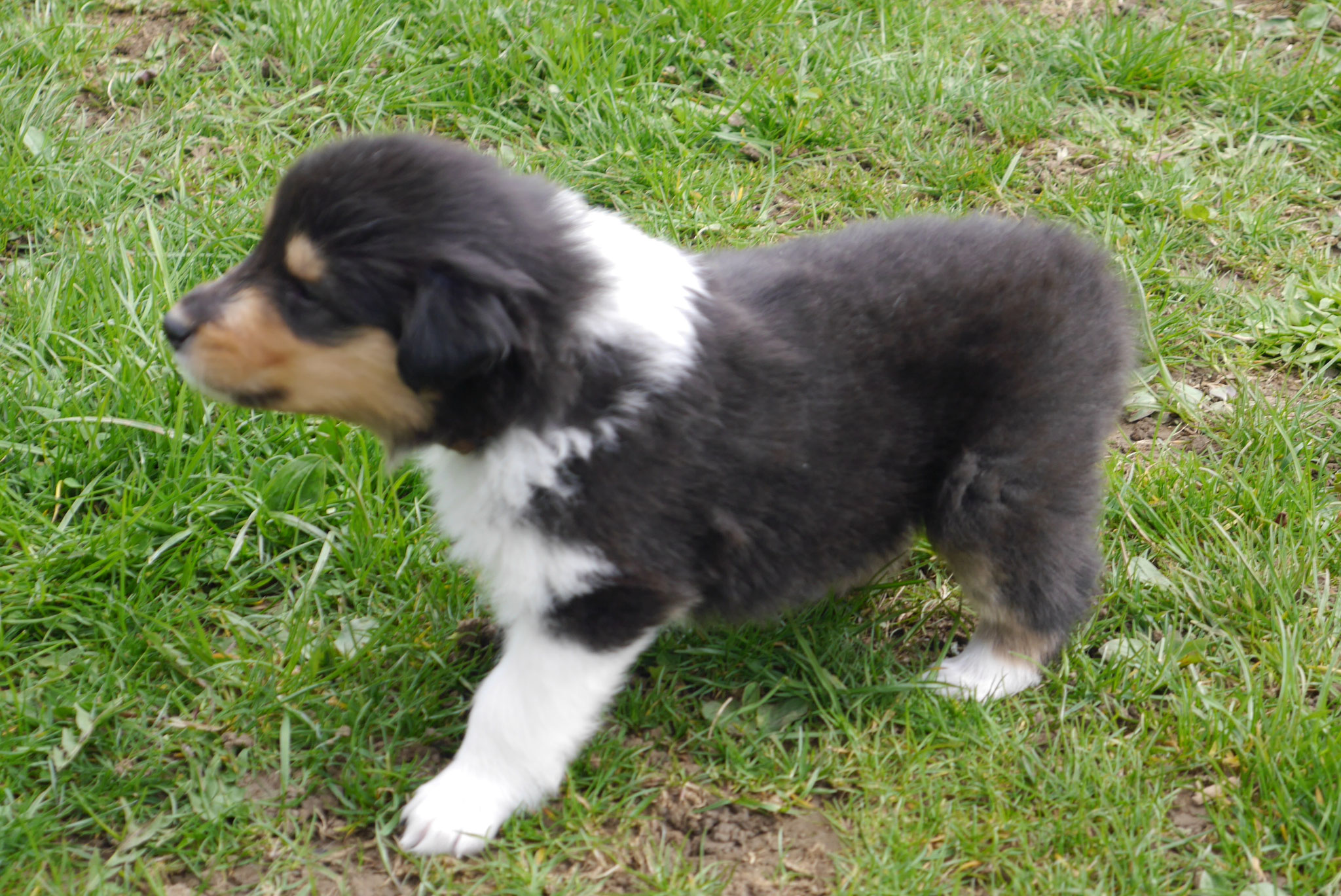 Elliot mit 4 Wochen
