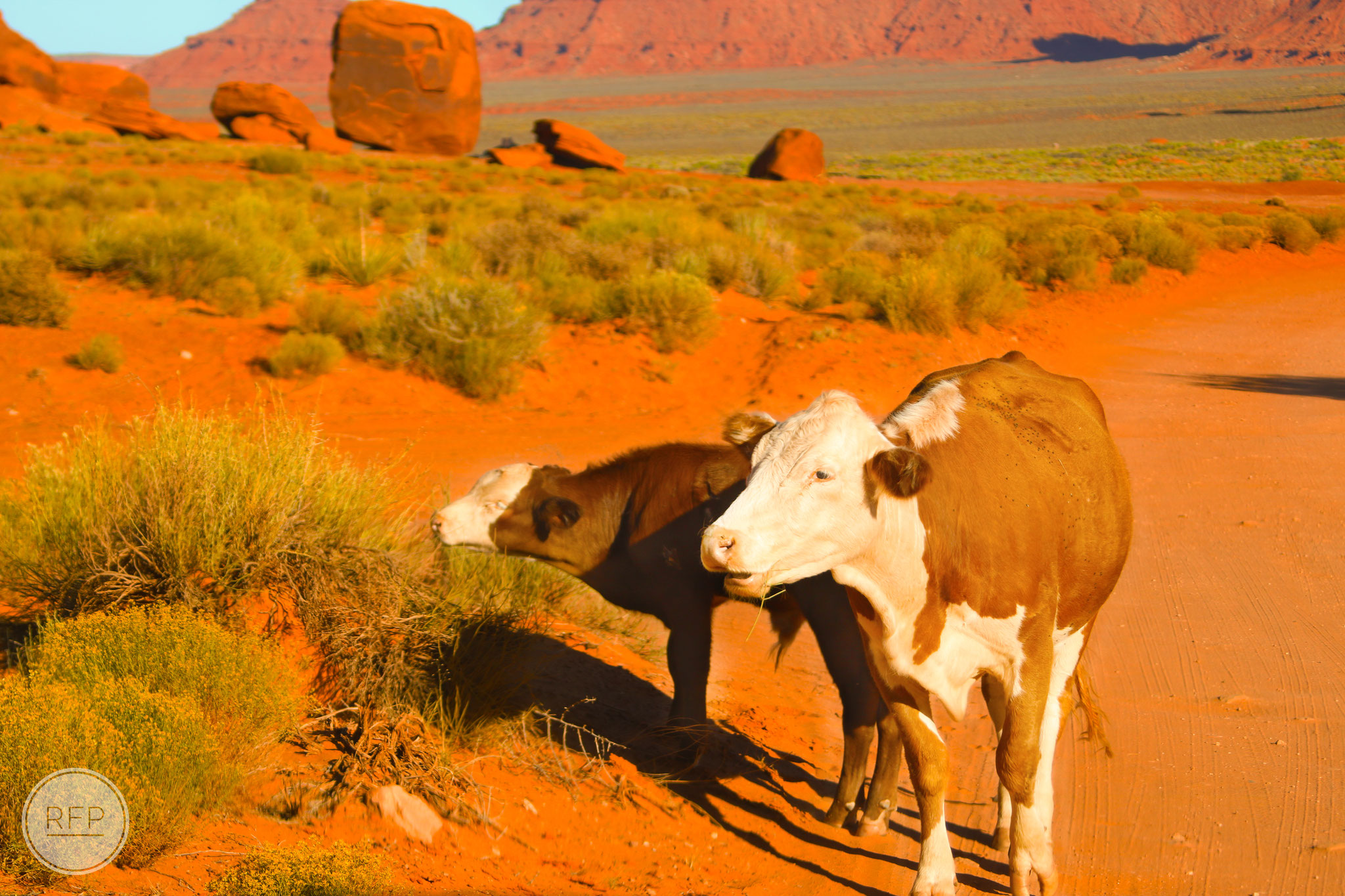 Monument Valley, AZ, USA