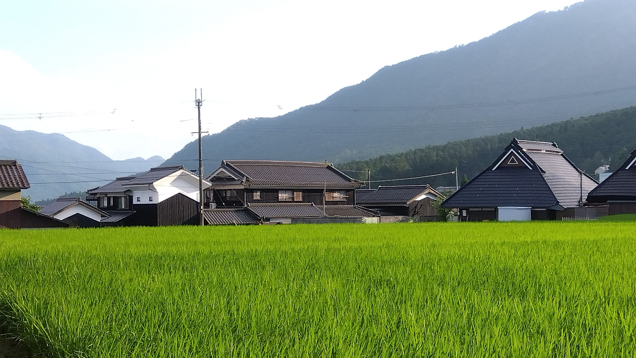 六月