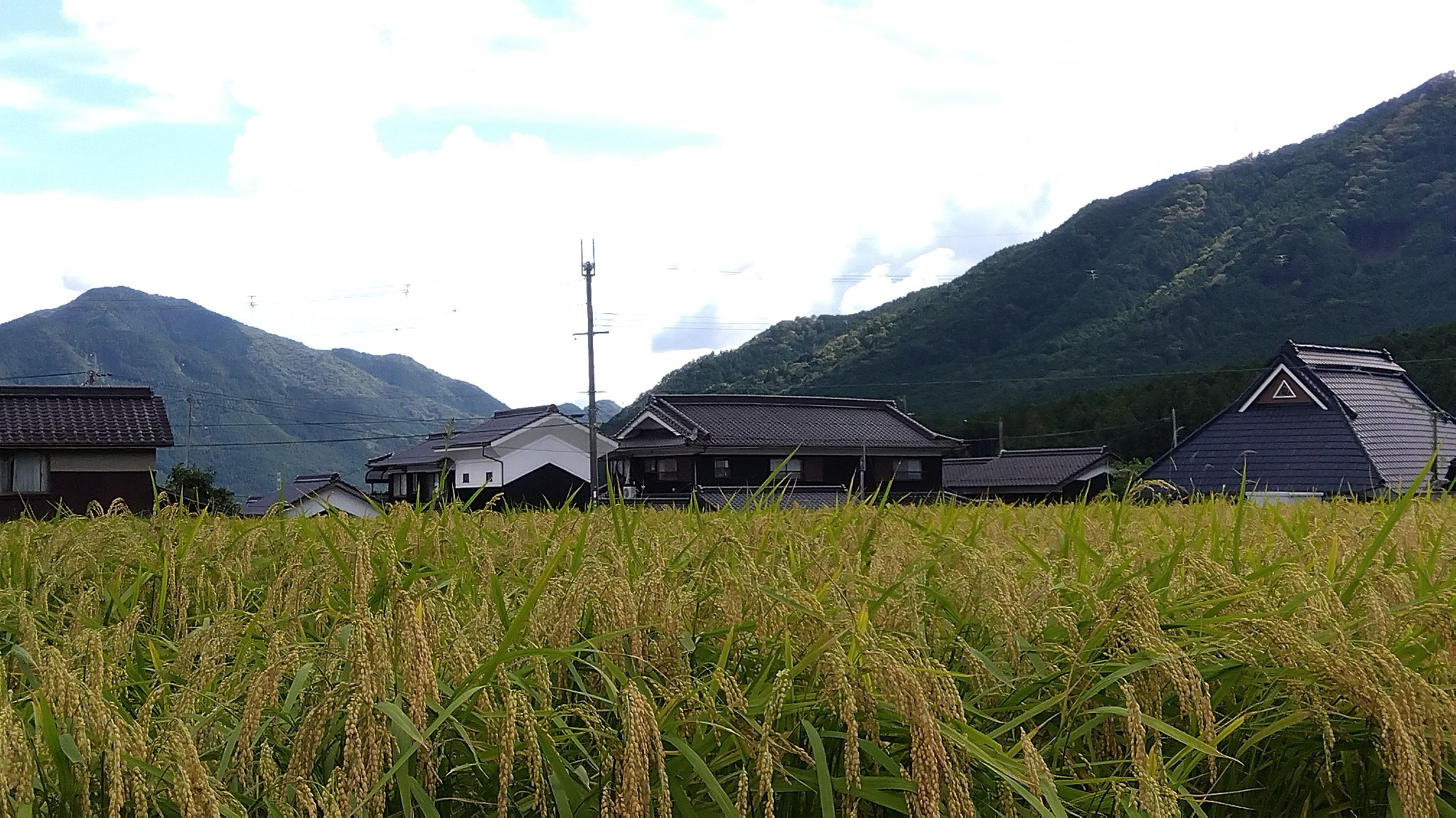 ９月