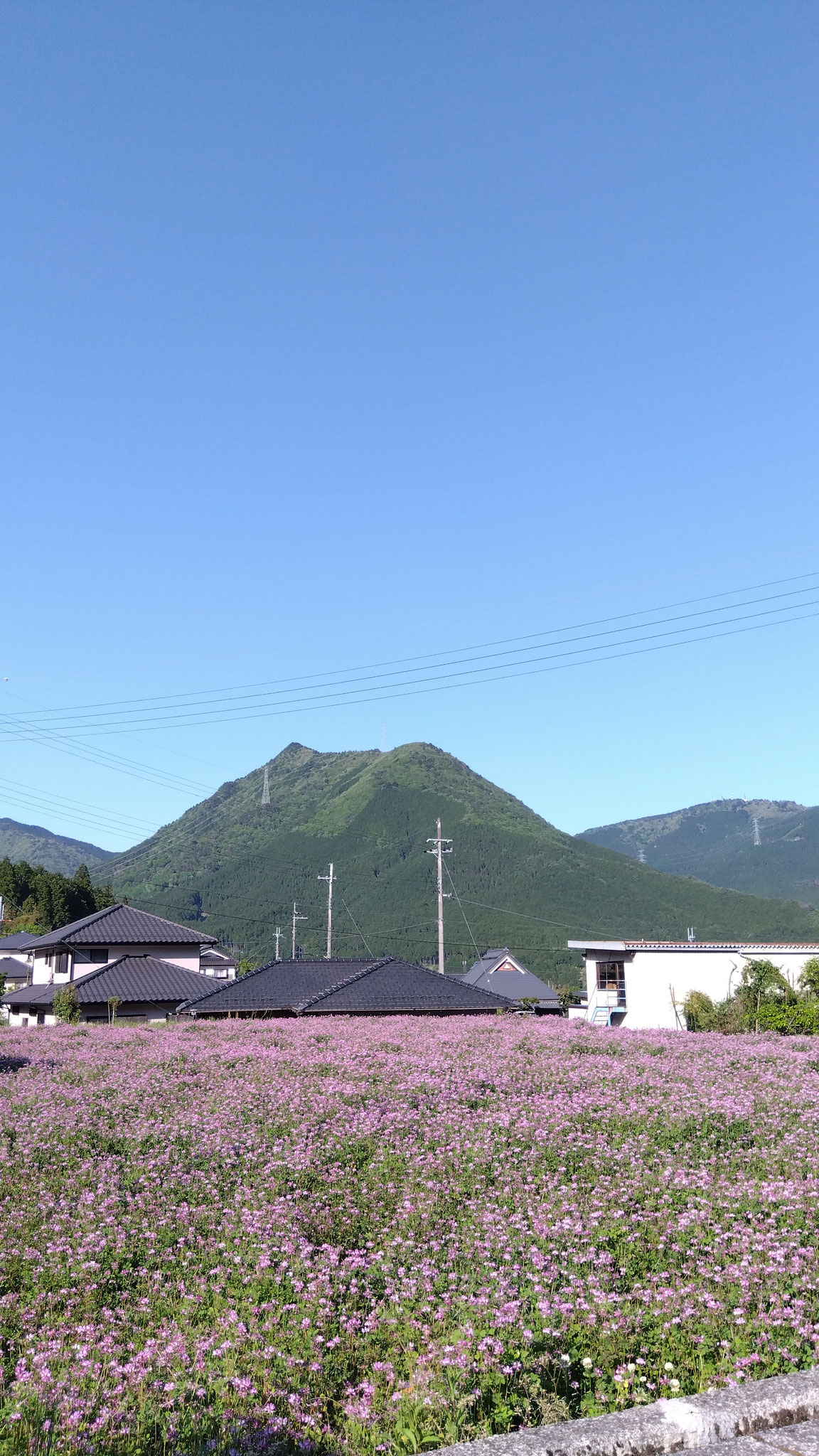 ５月