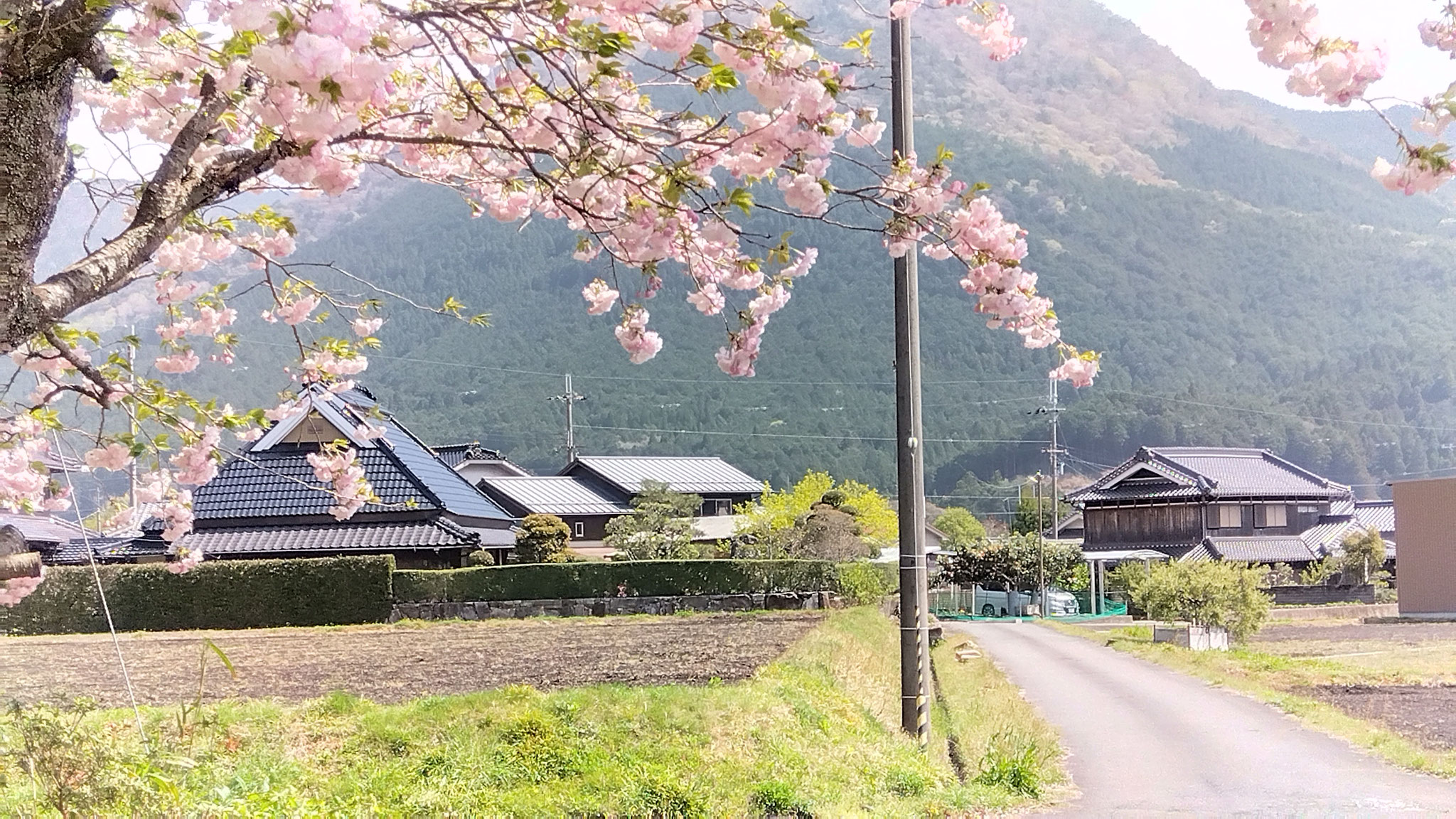 四月