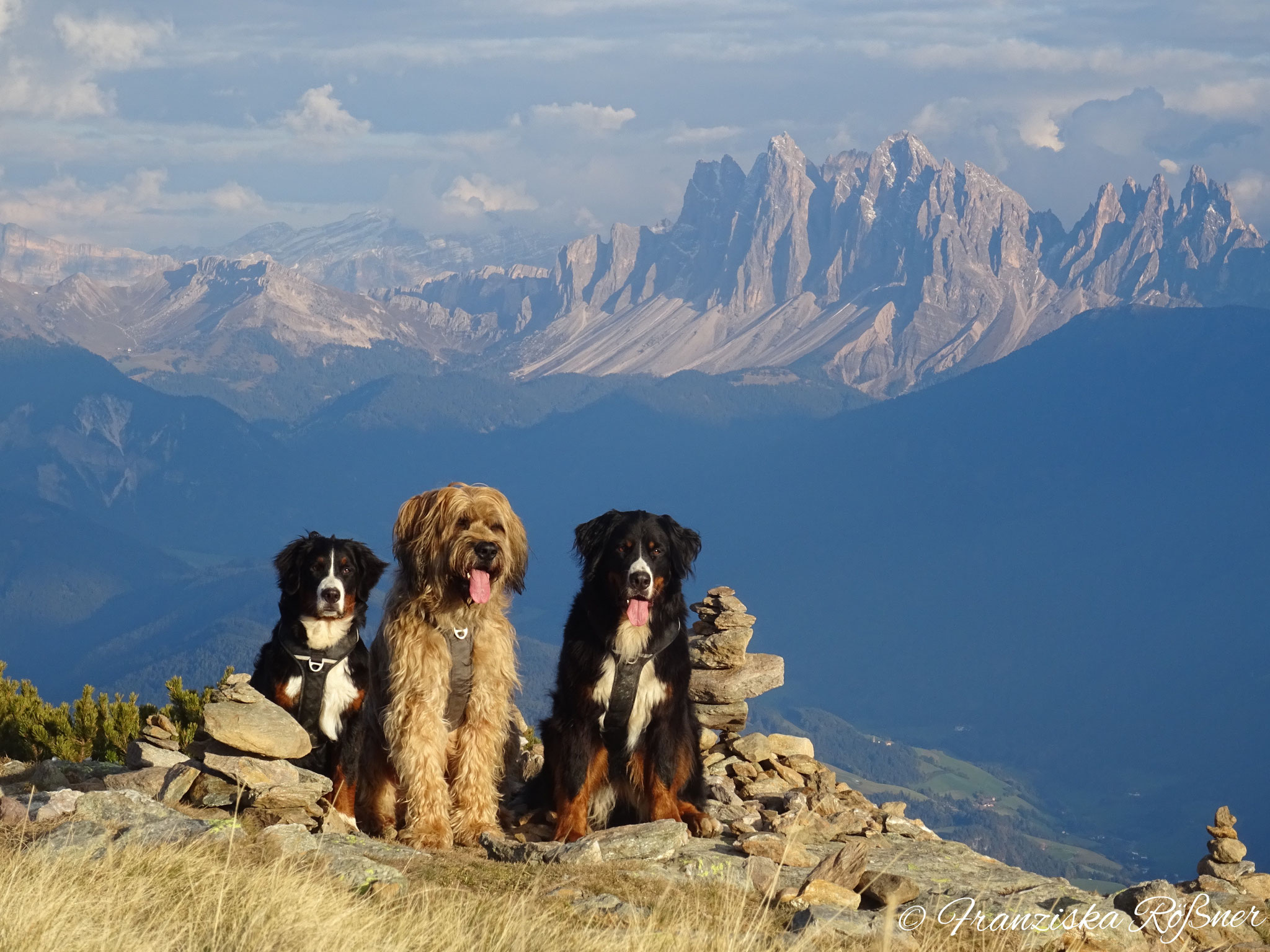 Im Schatten der Dolomiten