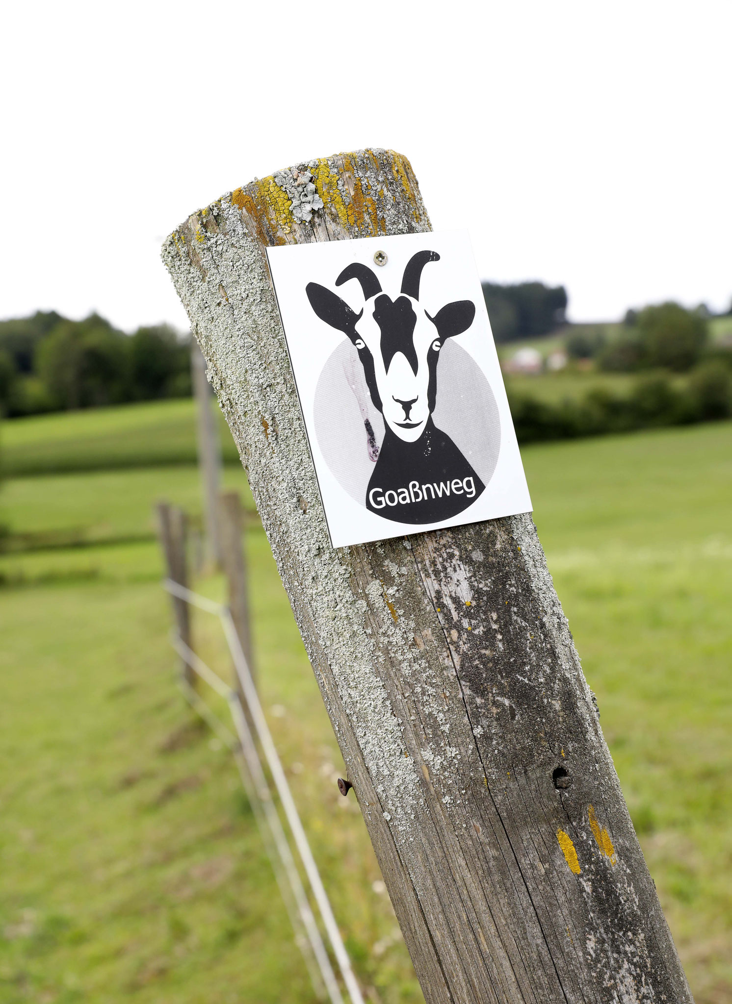 Neu seit 2019: Rundwanderweg vom Hof über Falkenstein © Marion Vogel Fotografie