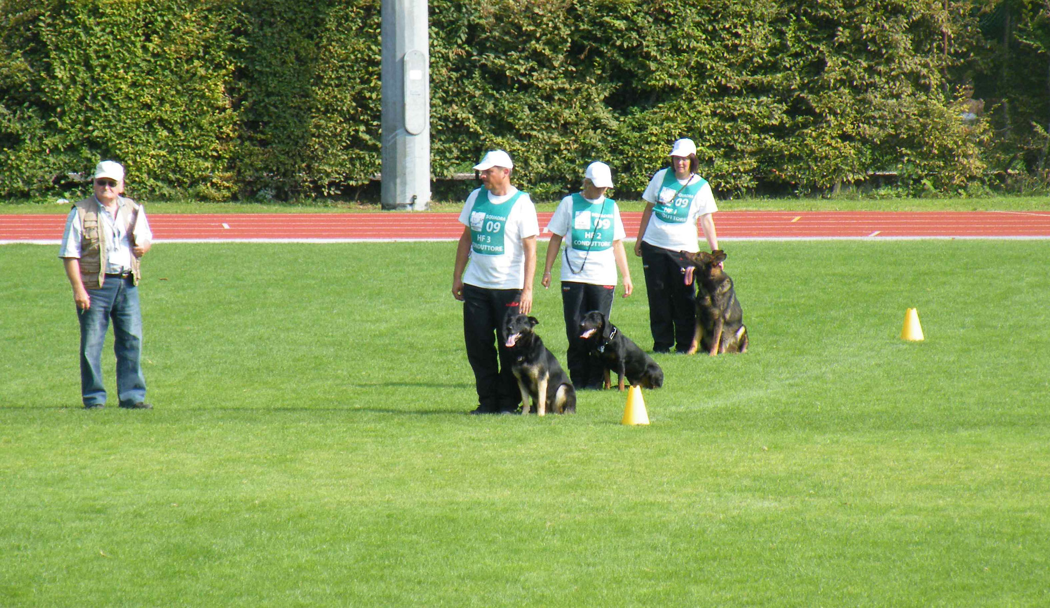 Ilwie, FCI Team WM 2010; Italien