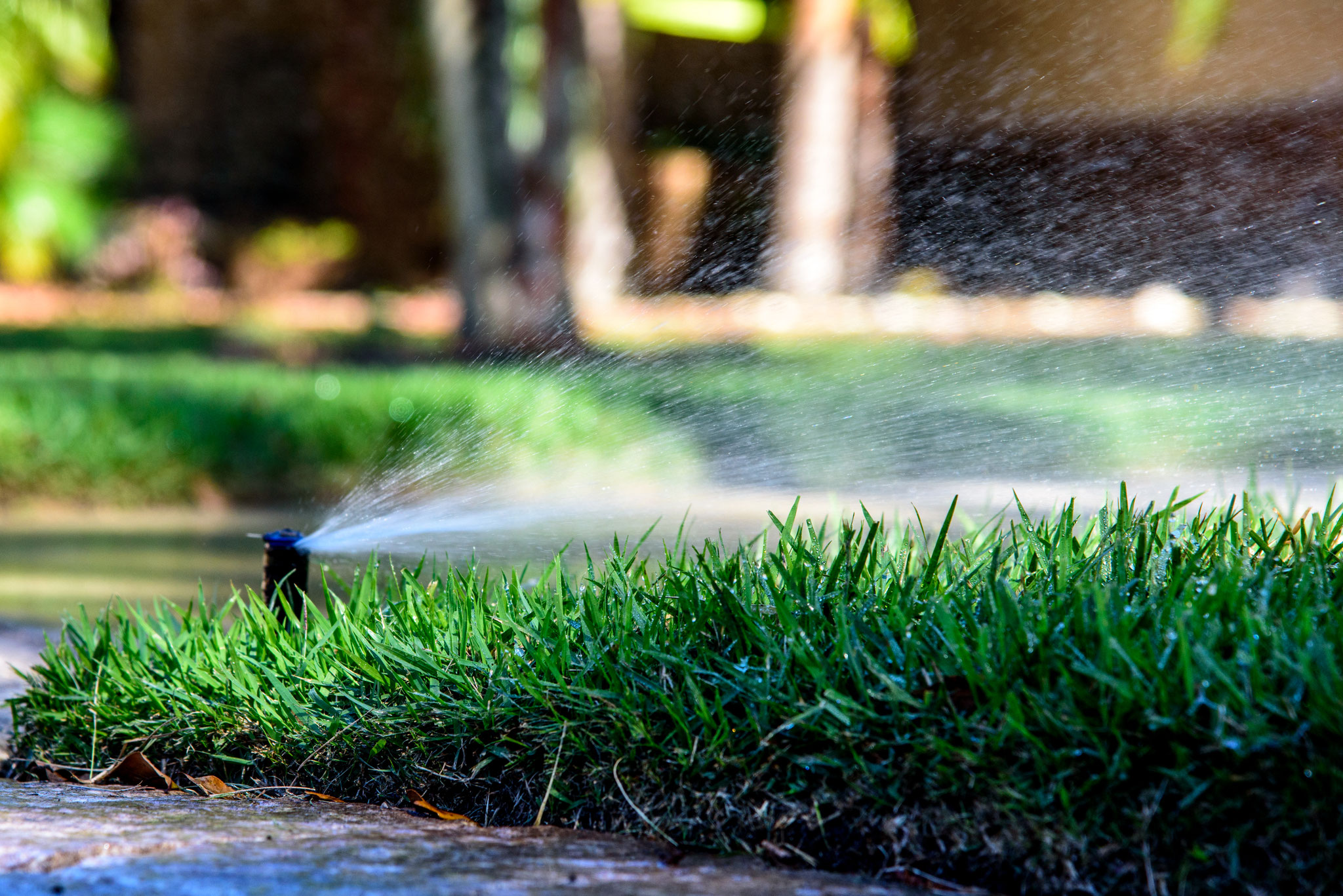 Precision Water Works Orlando Water Irrigation Quality First Lawn