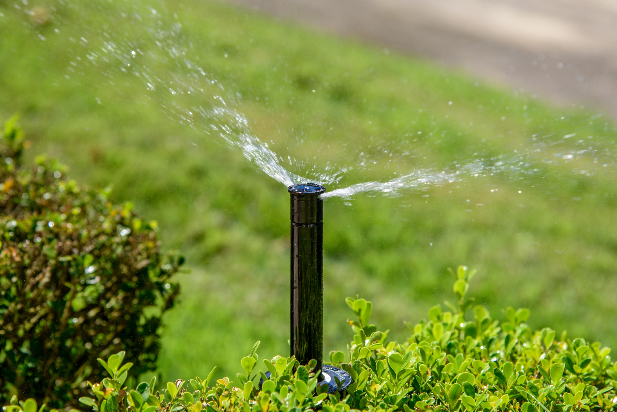 Precision Water Works Orlando Water Irrigation Quality First Lawn