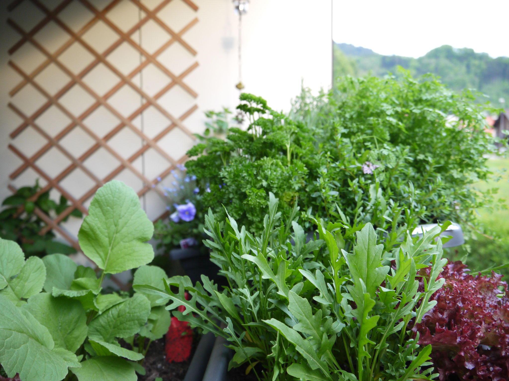 5 Dinge Um Lebenmittelabfalle Zu Vermeiden Blog Von Andrea Blum