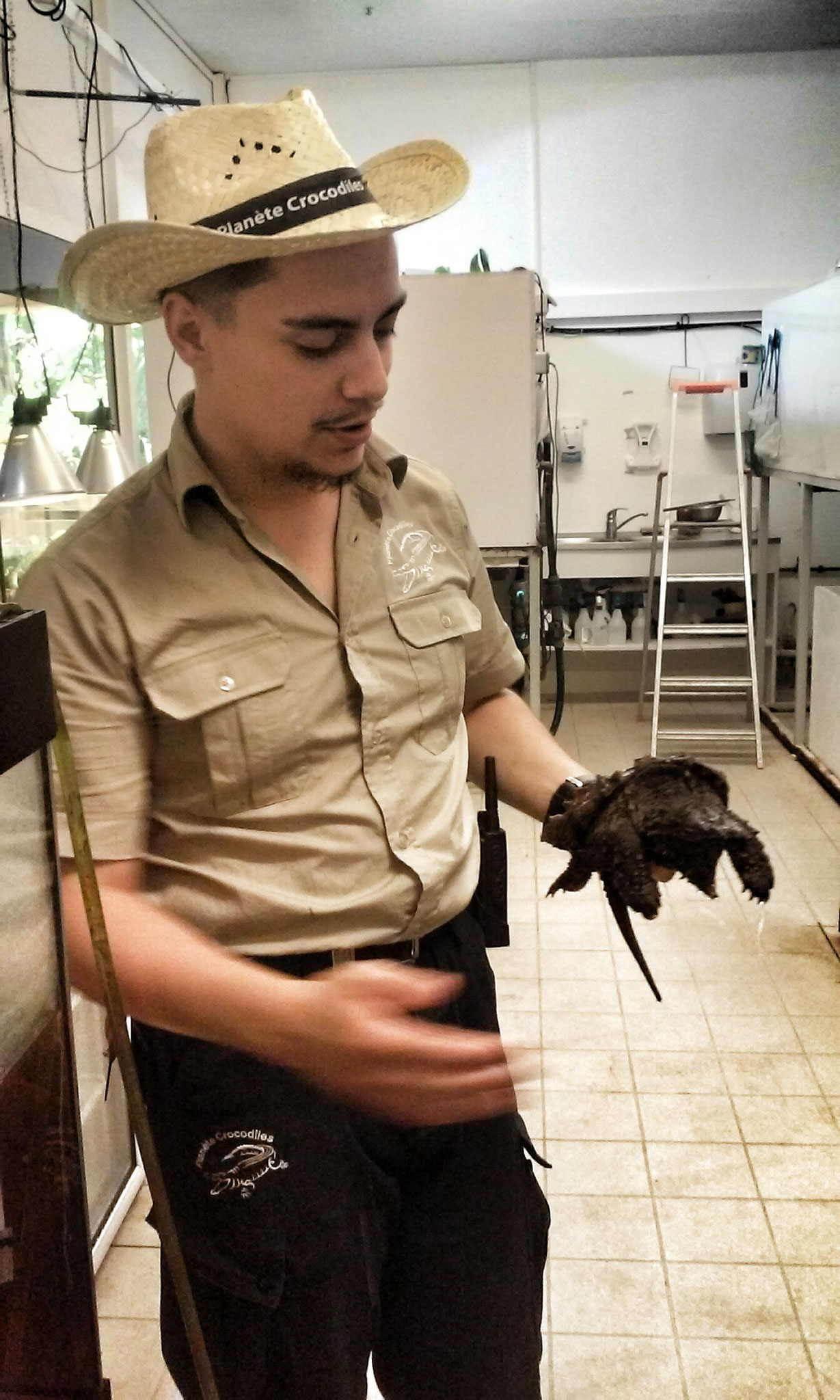 Avec une jeune Tortue alligator pendant mon séjour comme animateur à la Planète des Crocodiles (Civaux, 86).
