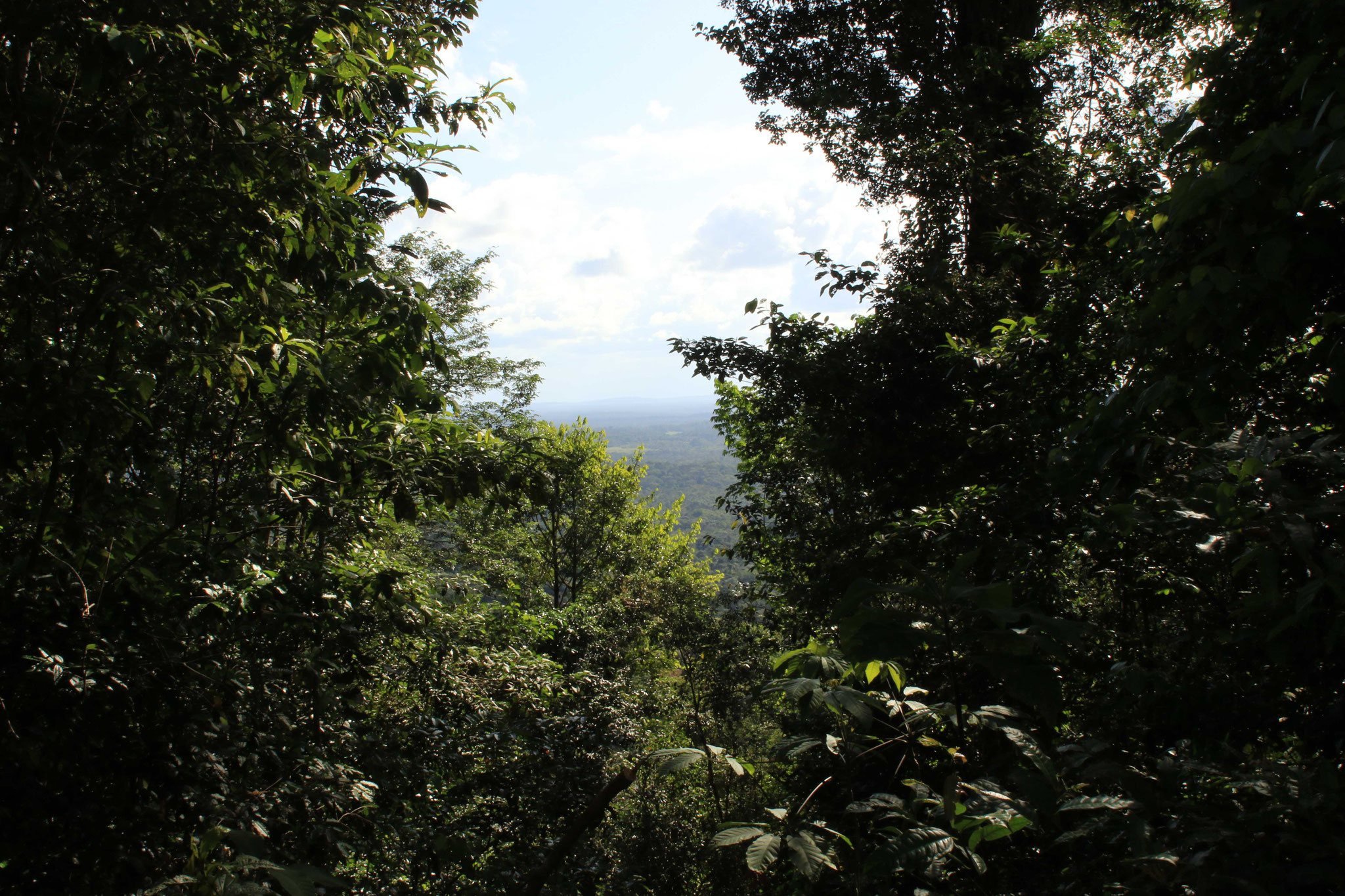 Point de vue, route de Kaw