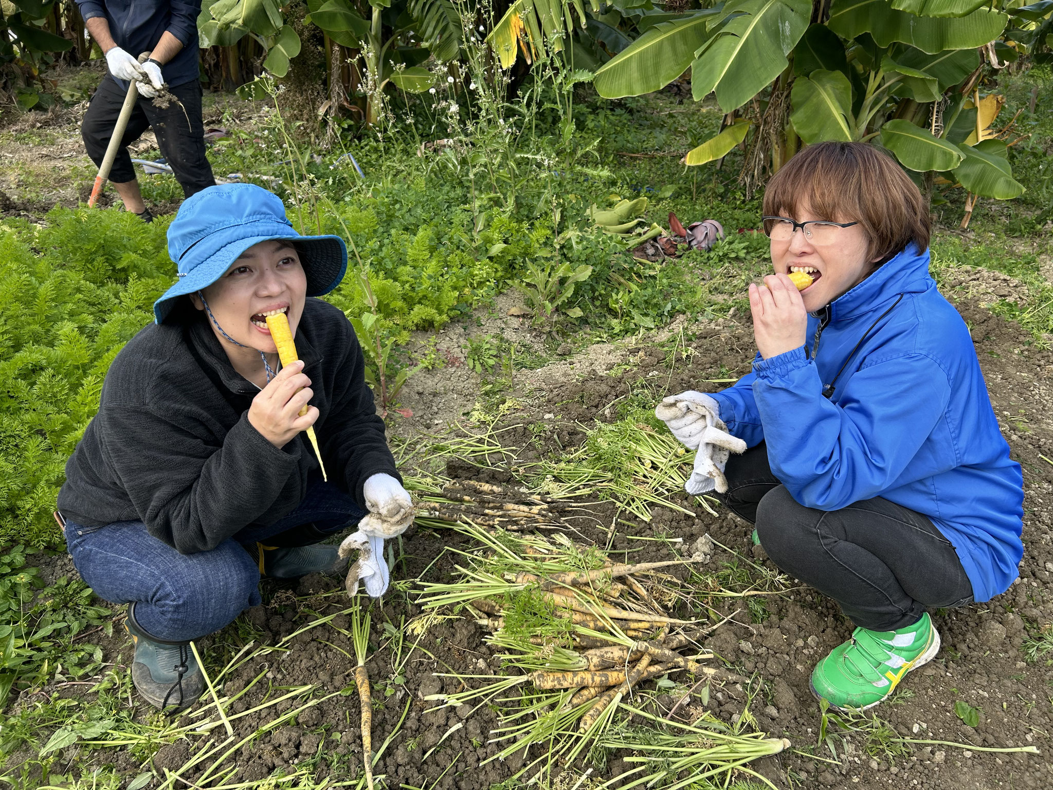 収穫の醍醐味、生かじり