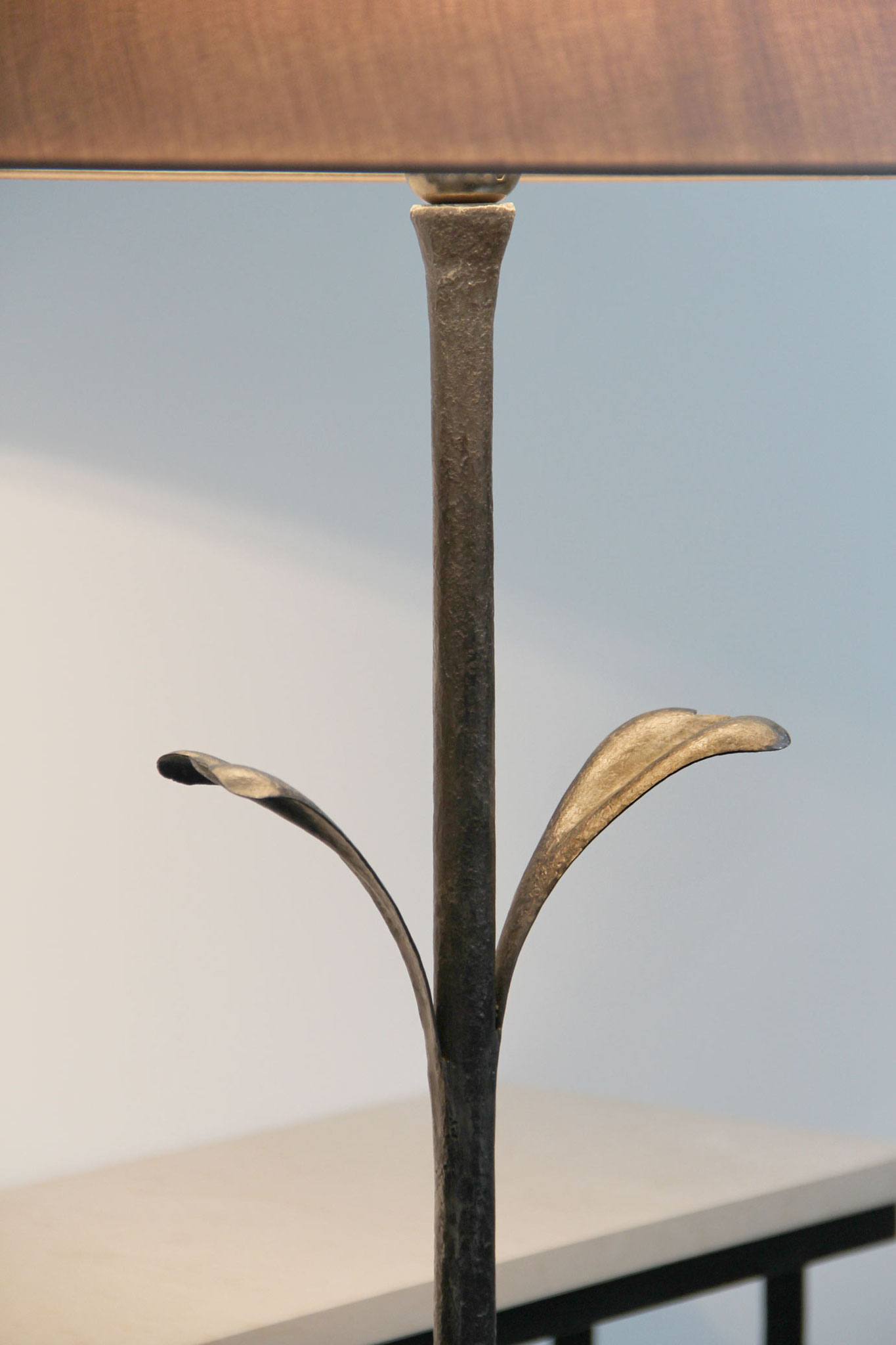 Finition 1 : Brushed wrought iron