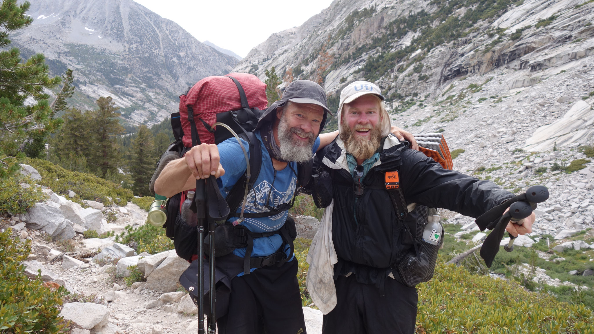 Pick of the Litter (USA)