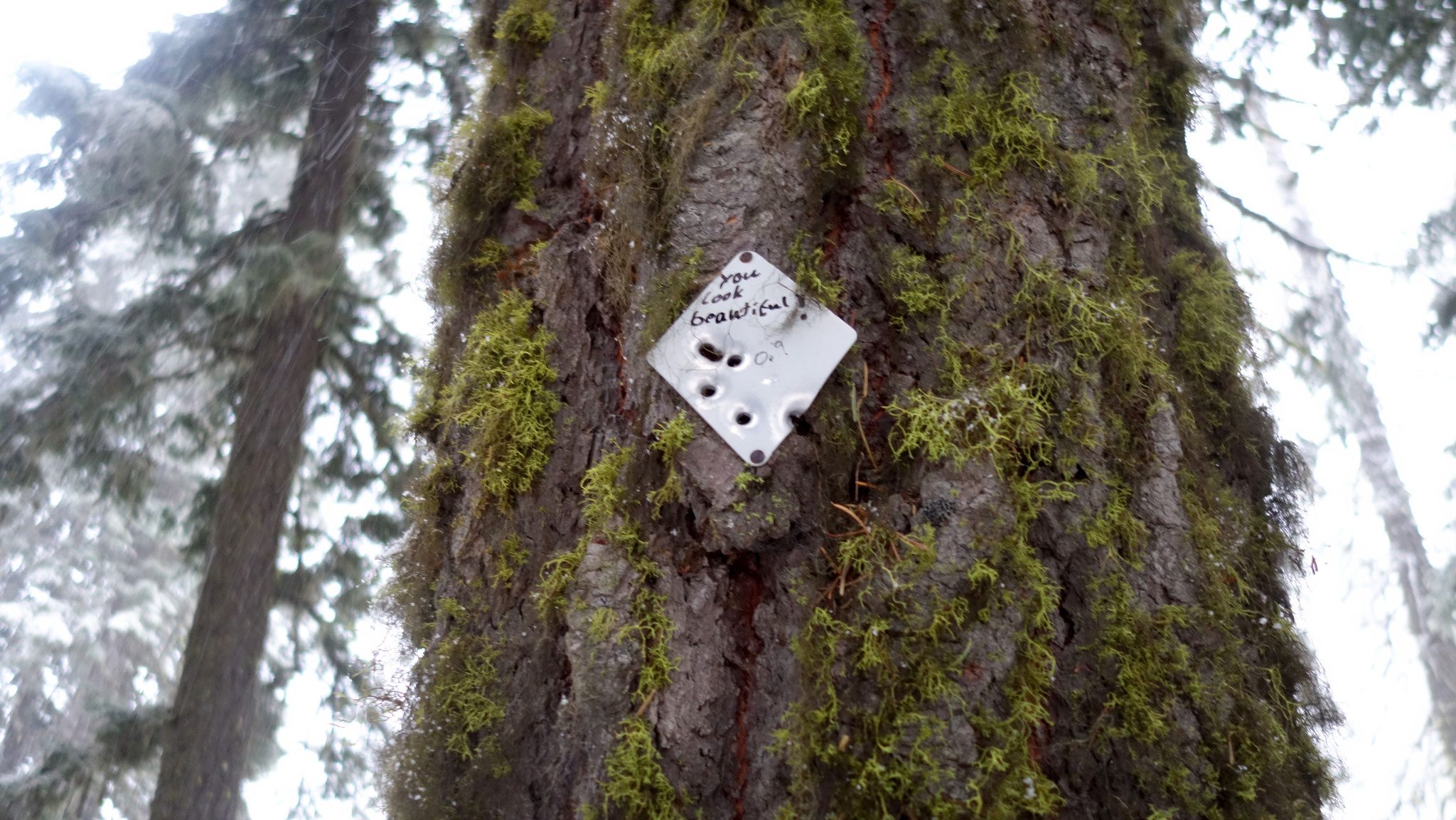 Nahe der Grenze zu Oregon. Ehemalige Wegzeichen, versehen mit motivierenden Sprüchen, kommen manchmal zur rechten Zeit.