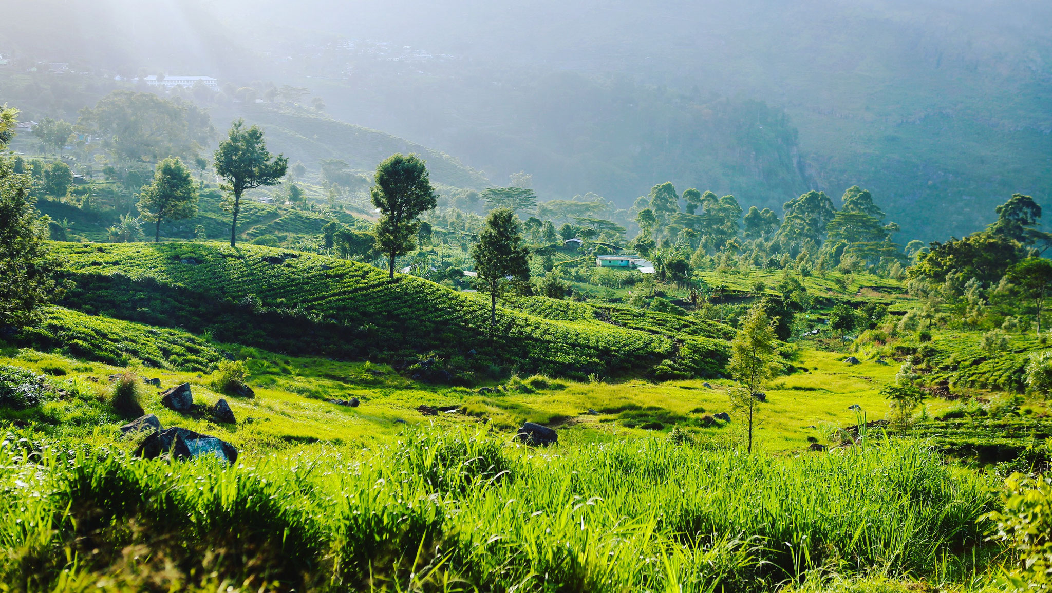 Haputale, Sri Lanka