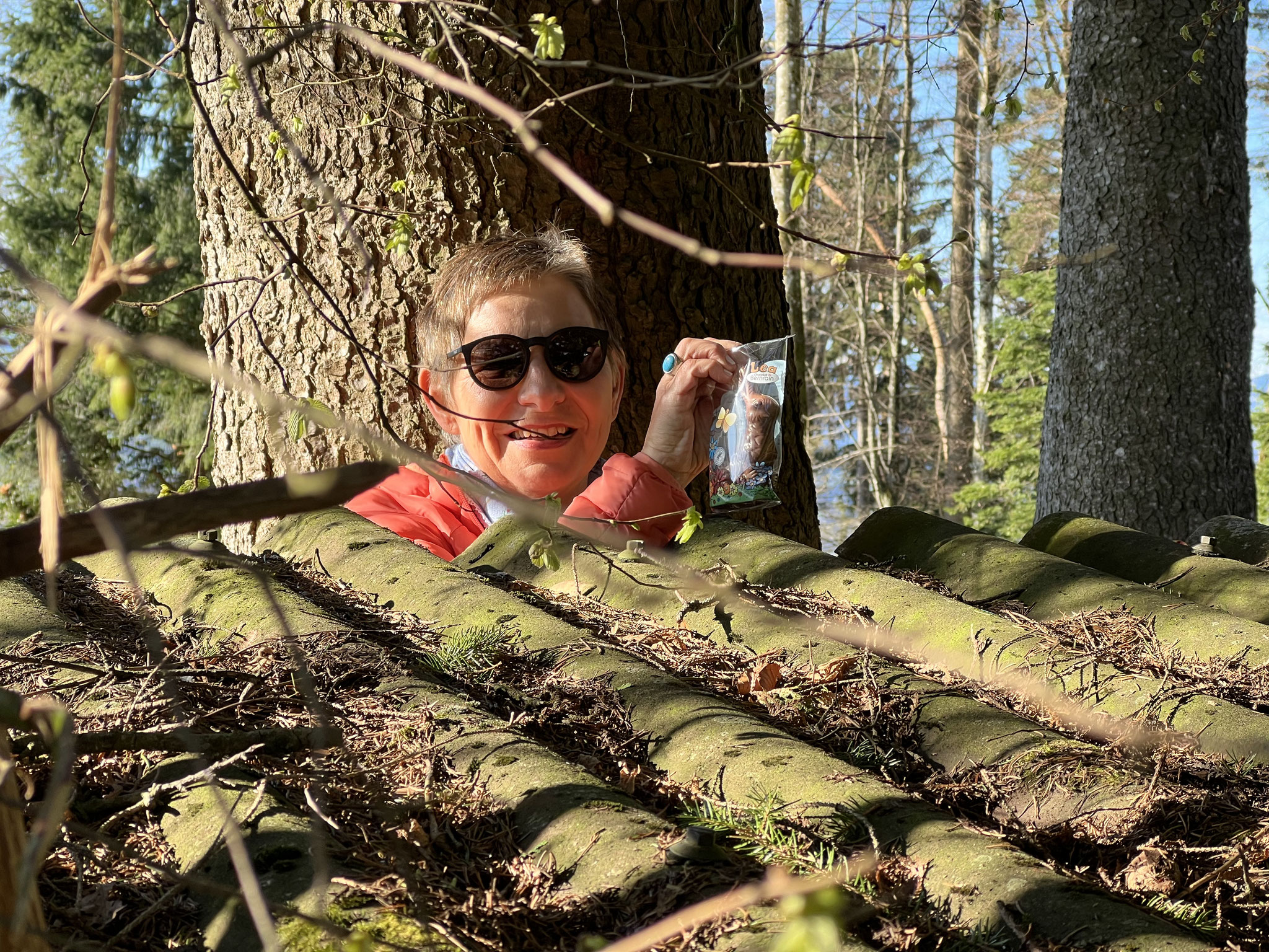 wer hoppelt durch den Wald