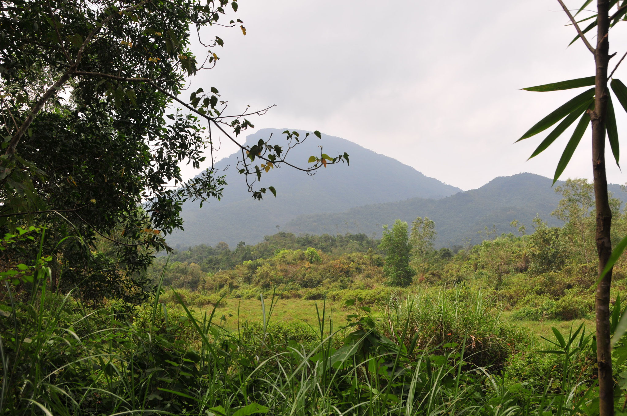 Tag 14 - Von Hoi An geht es nach My Son, das regligiöse Zentrum des Champareiches (5-15 Jhd.)