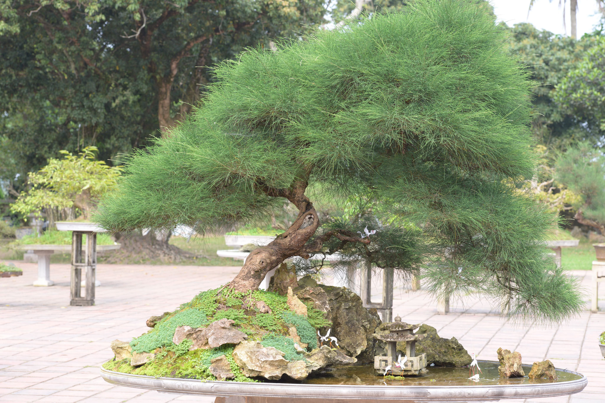 Grosse Häuser haben oft Bonsai Landschaften als Altare