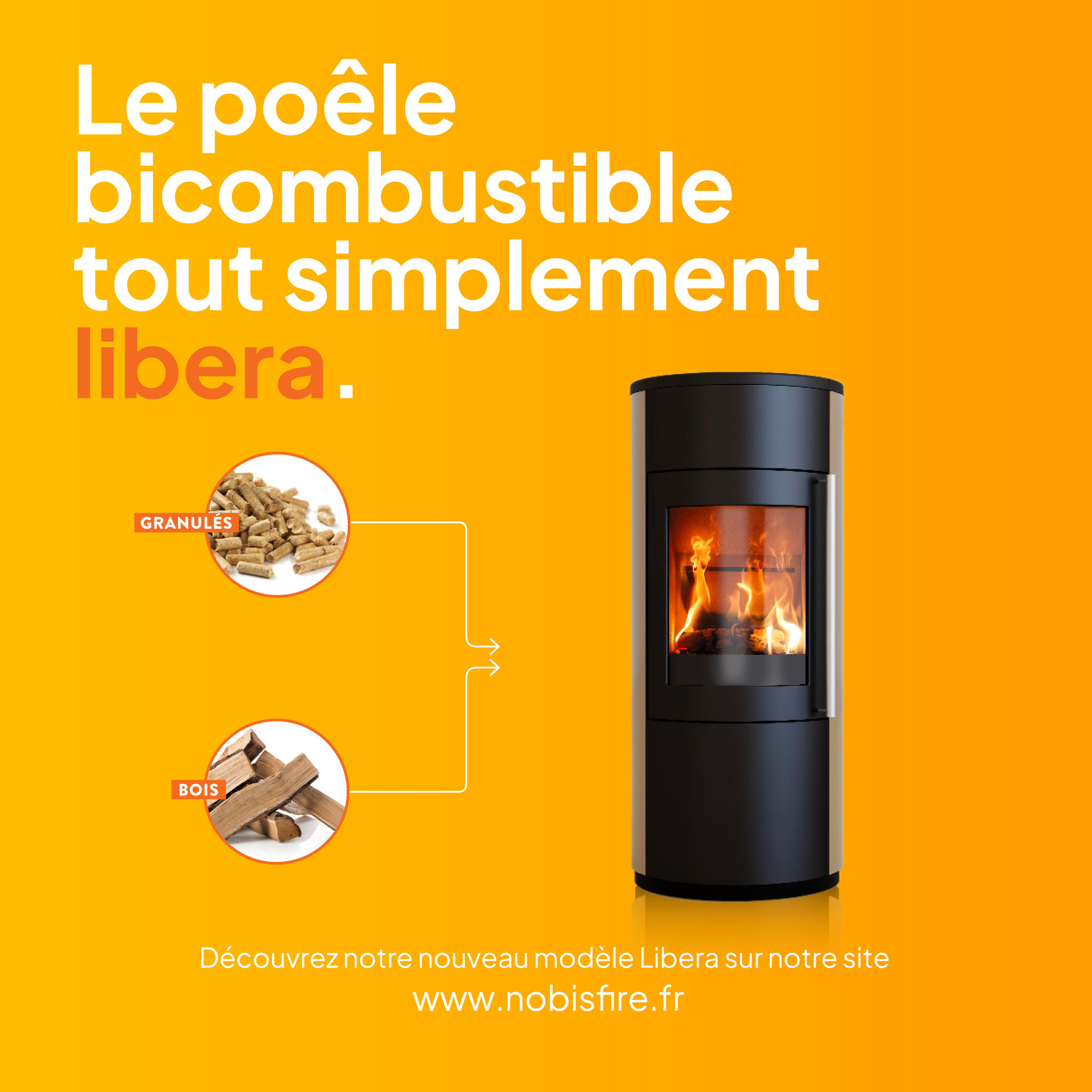 Nobis Libera 