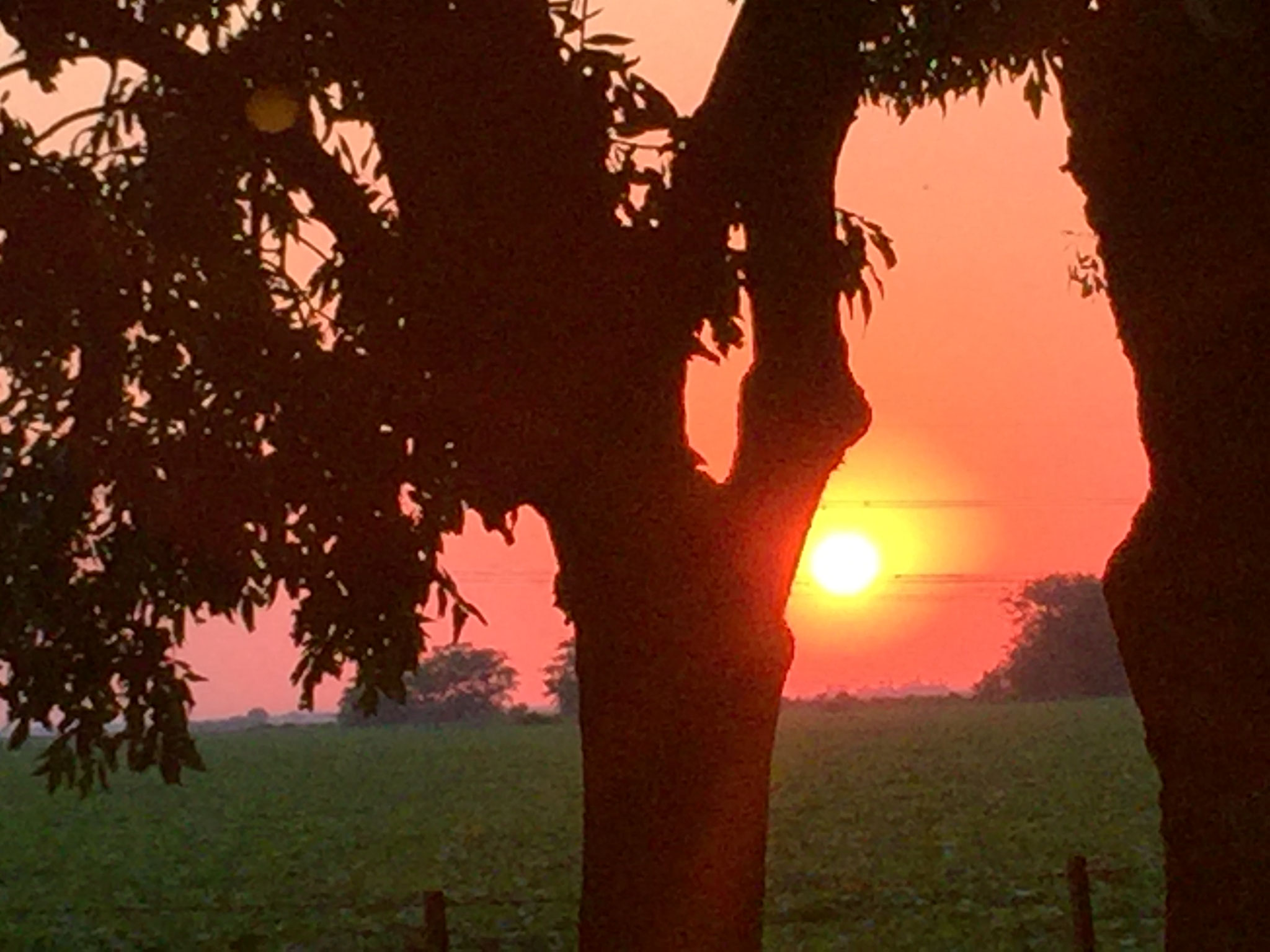 Sonnenuntergang an Tankstelle