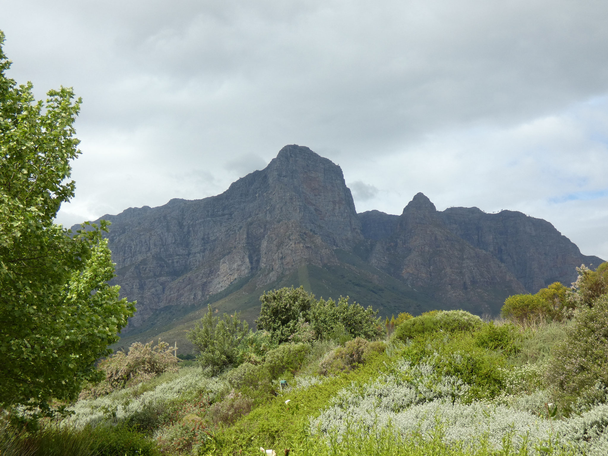 Stellenbosch