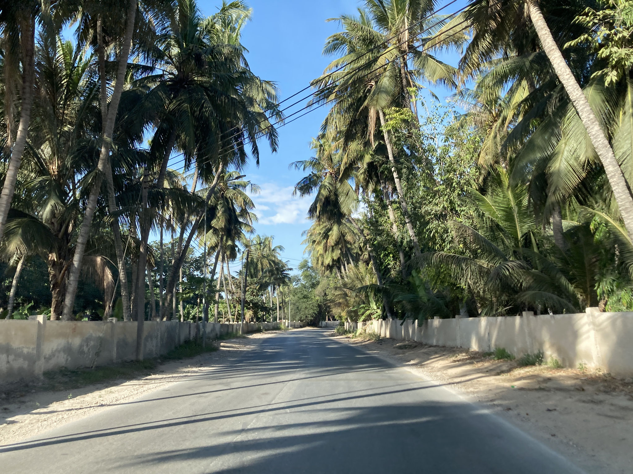 Plantagen in der Stadt Salaha