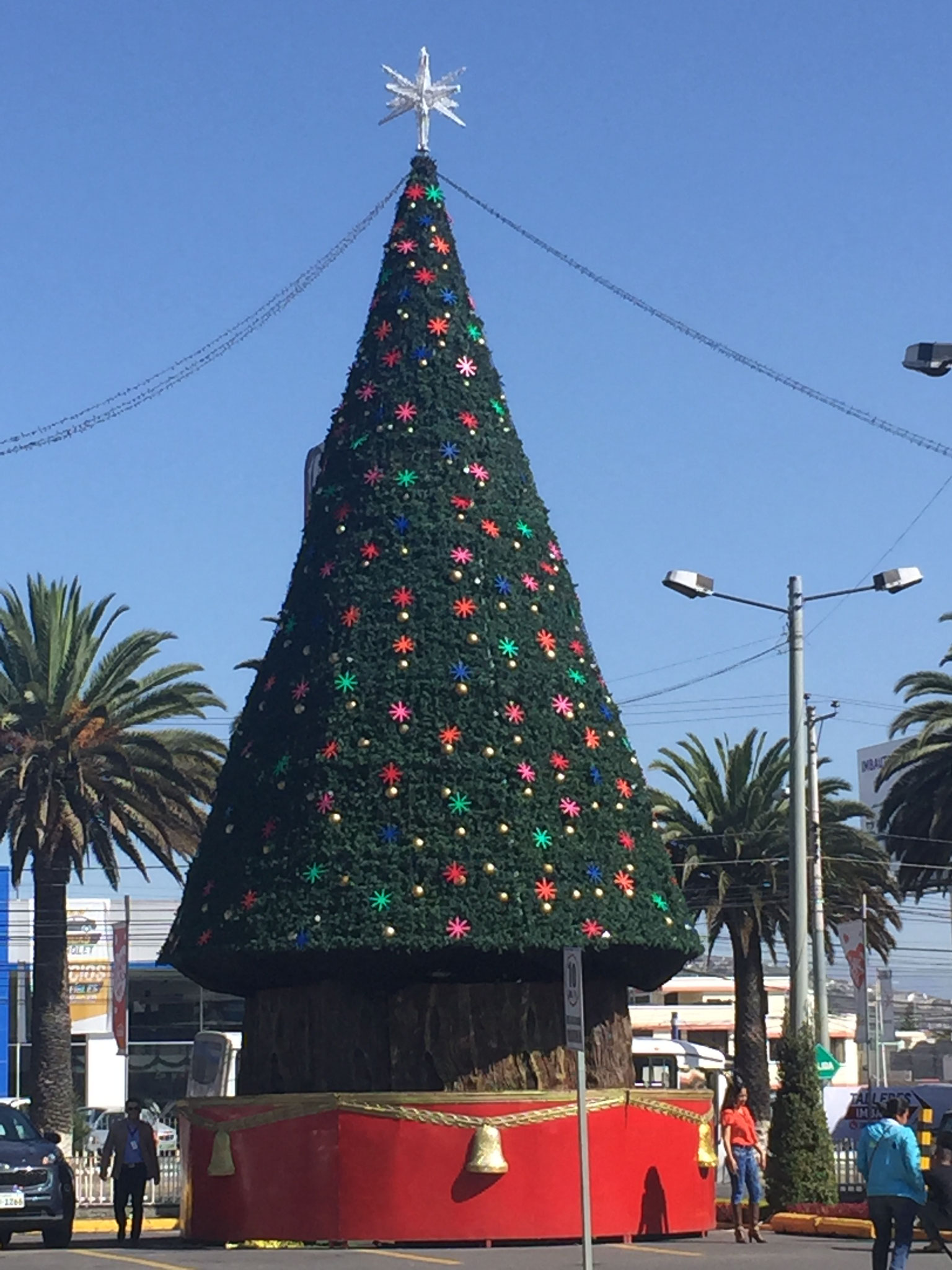 Weihnachtsbaum in Ecuador