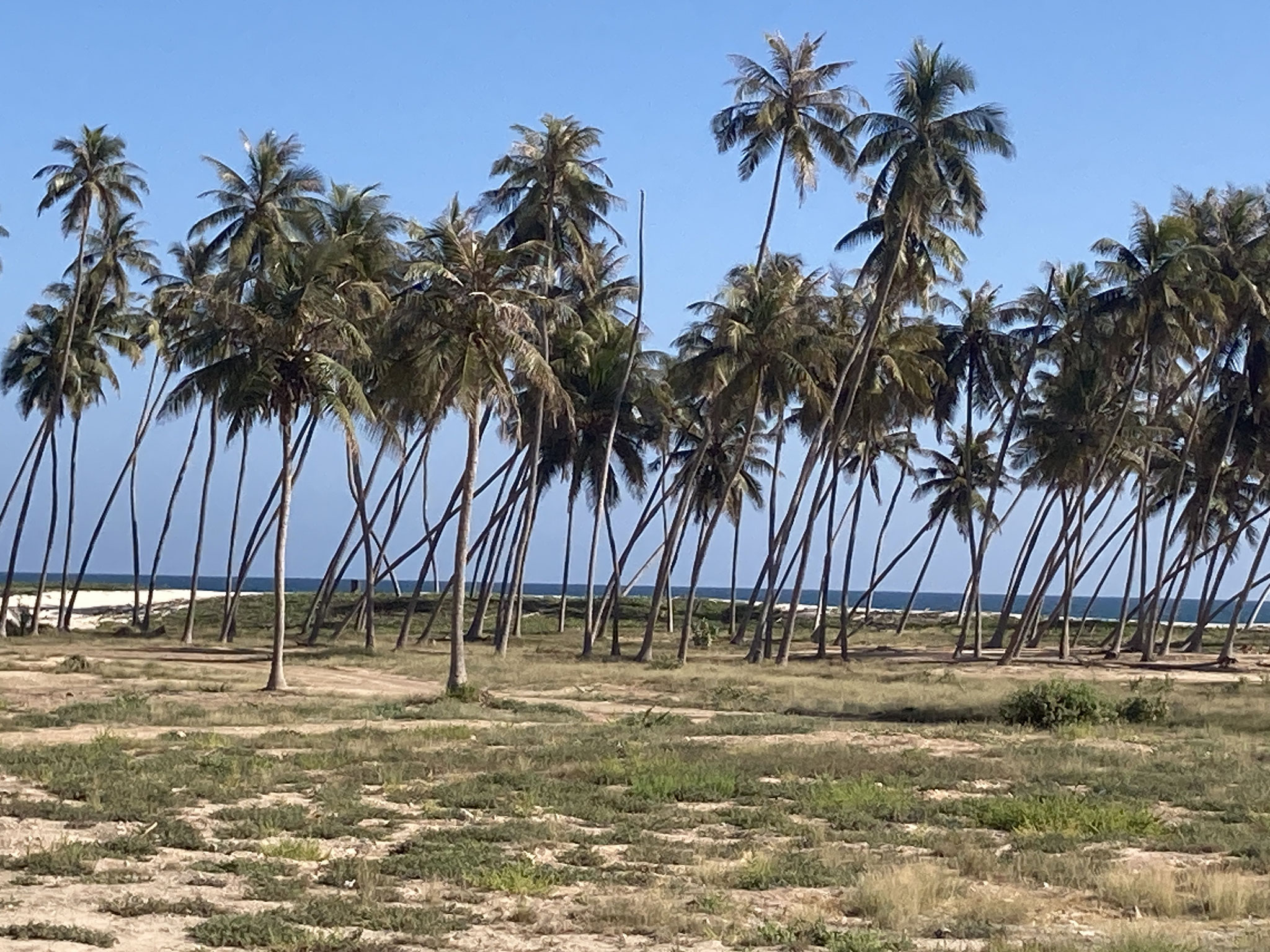 Und wieder am Strand von Salalah, Übernachtungsplatz