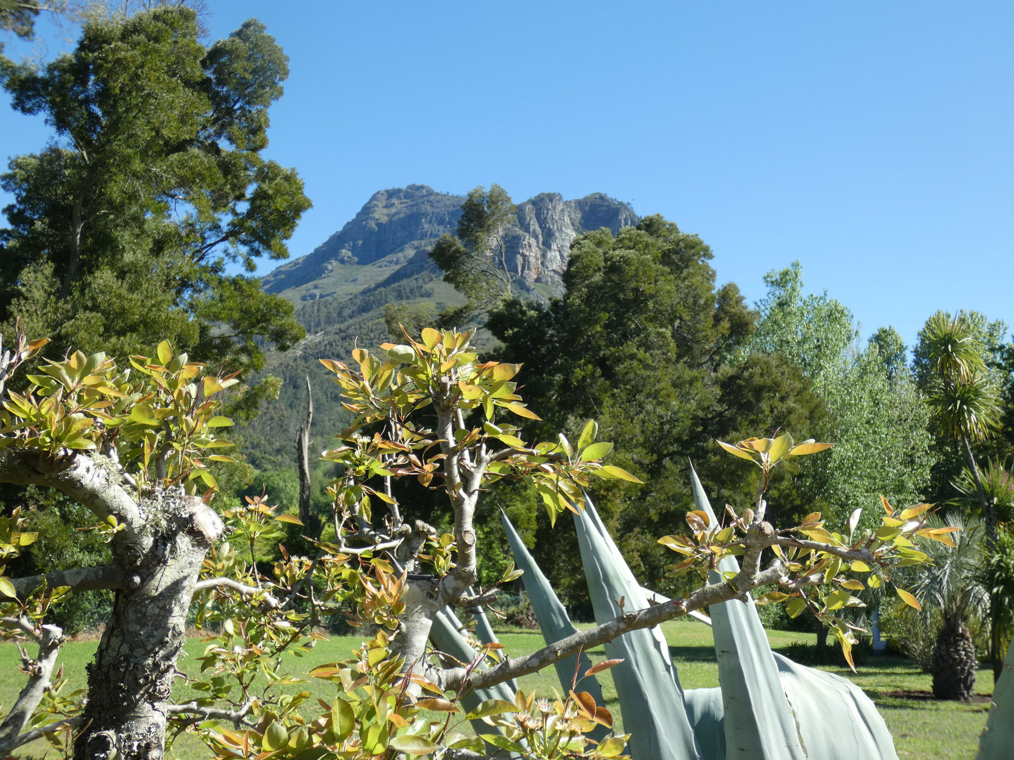 Umgebung Franschoek