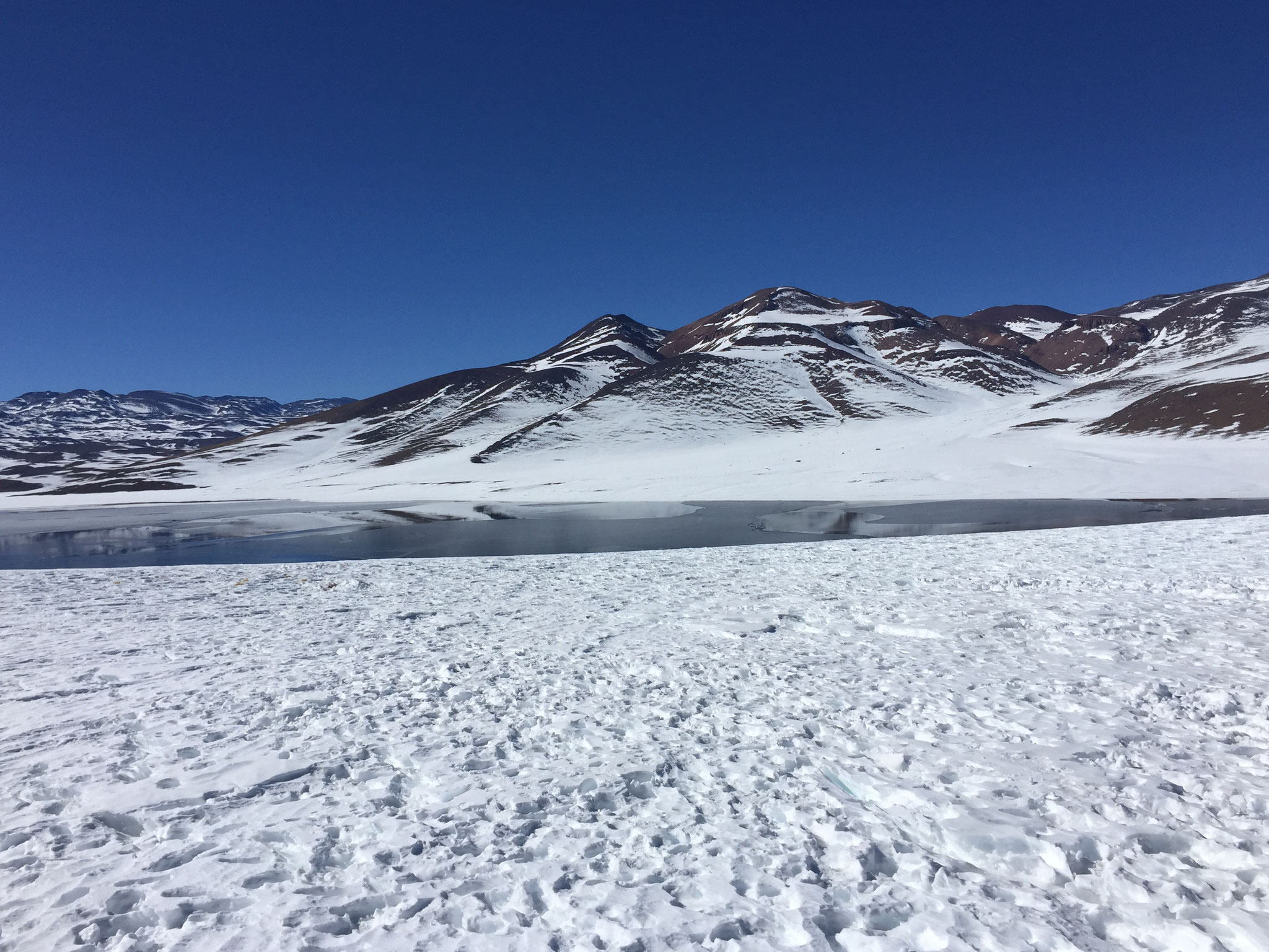 Lagune Miscanti im Schnee!